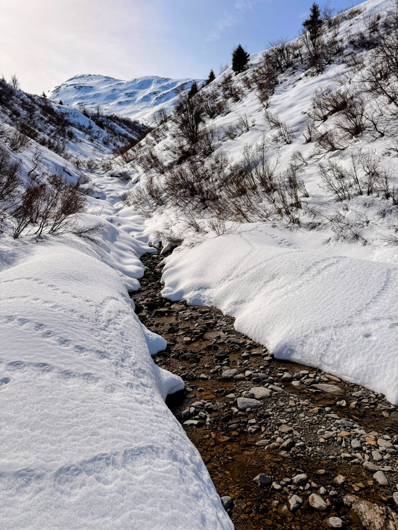 schneeschuhsafari-graubuenden-sedrun-disentis-_IMG_0298