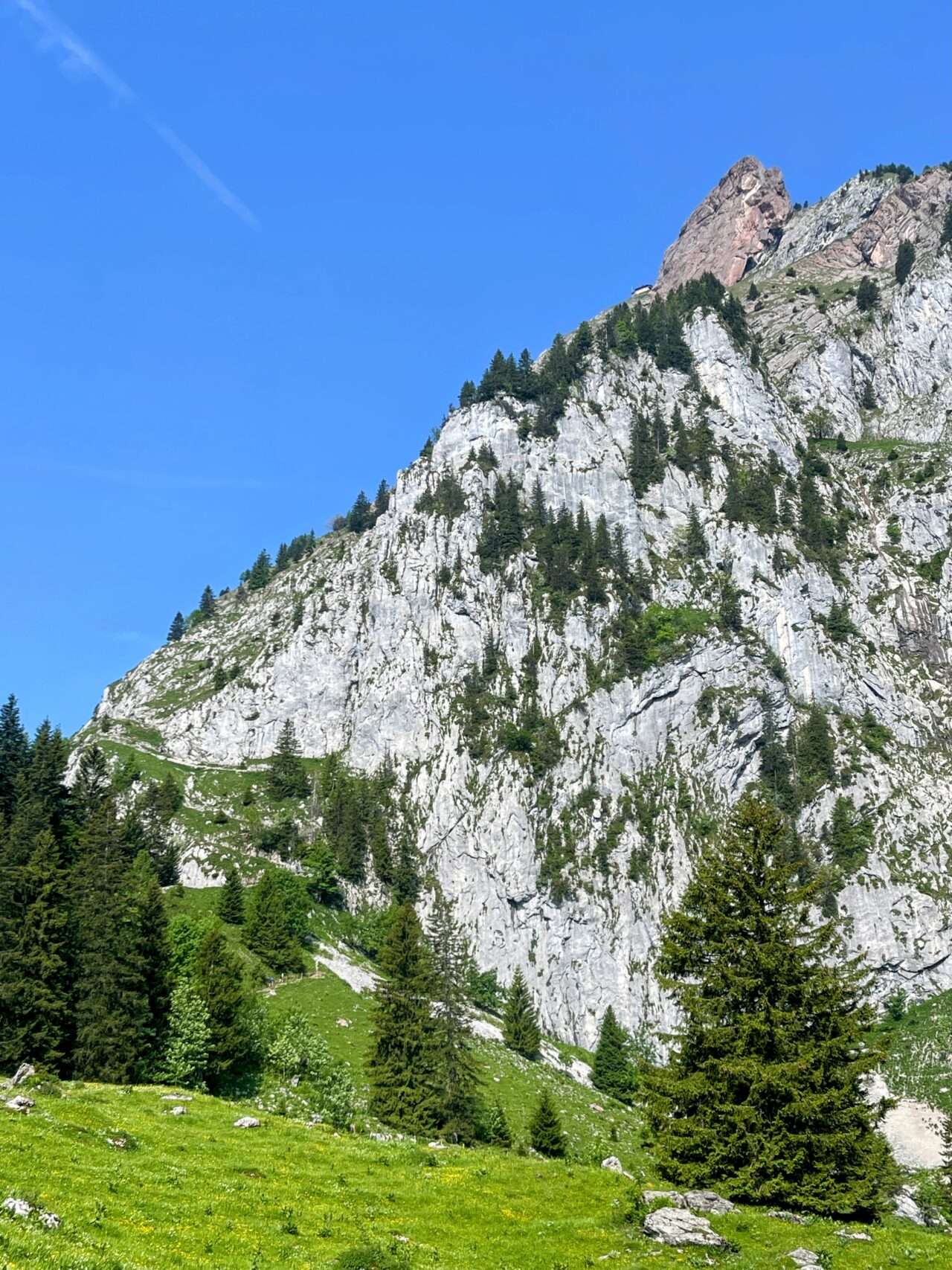 wanderung_brunni_hagenegg_mostelberg_sattel_