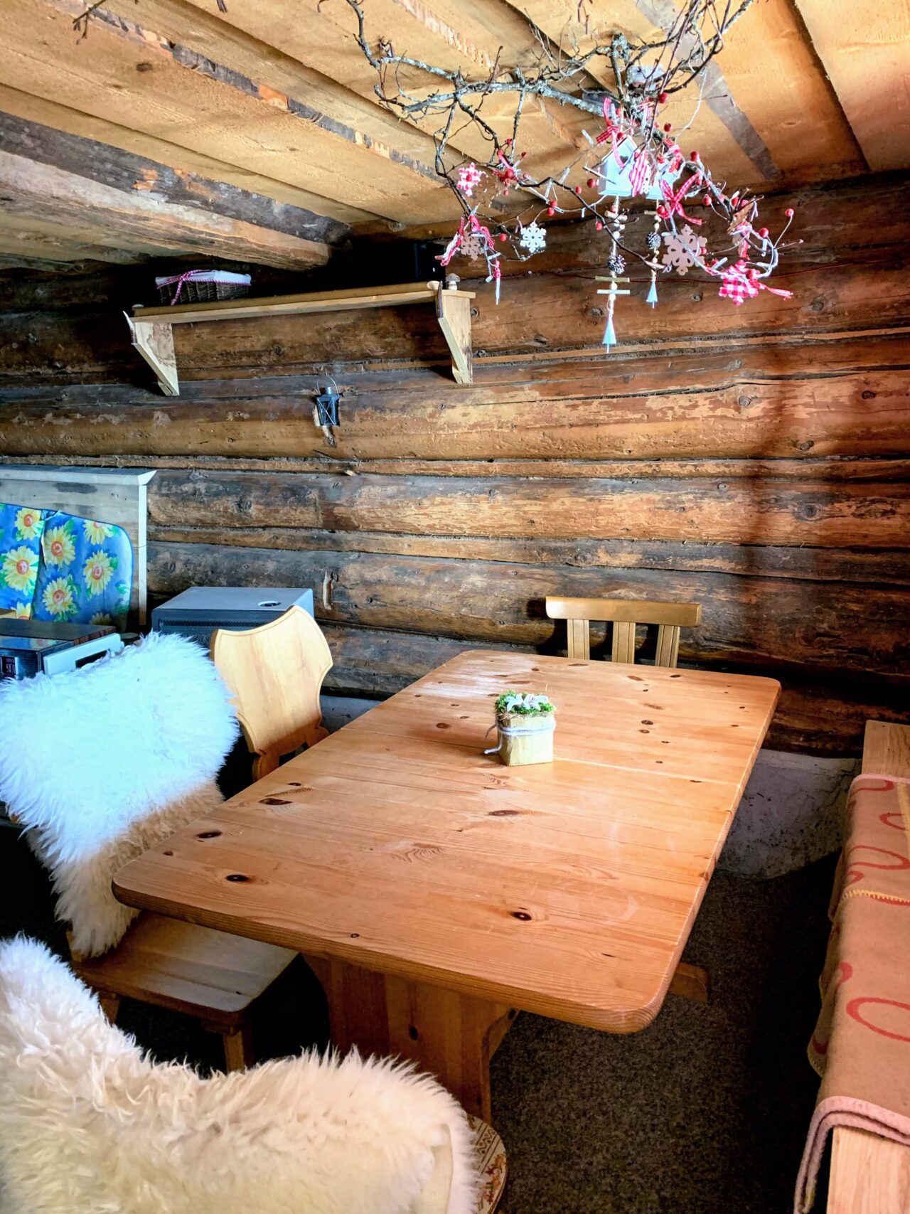 schneeschuhwandern_pany_