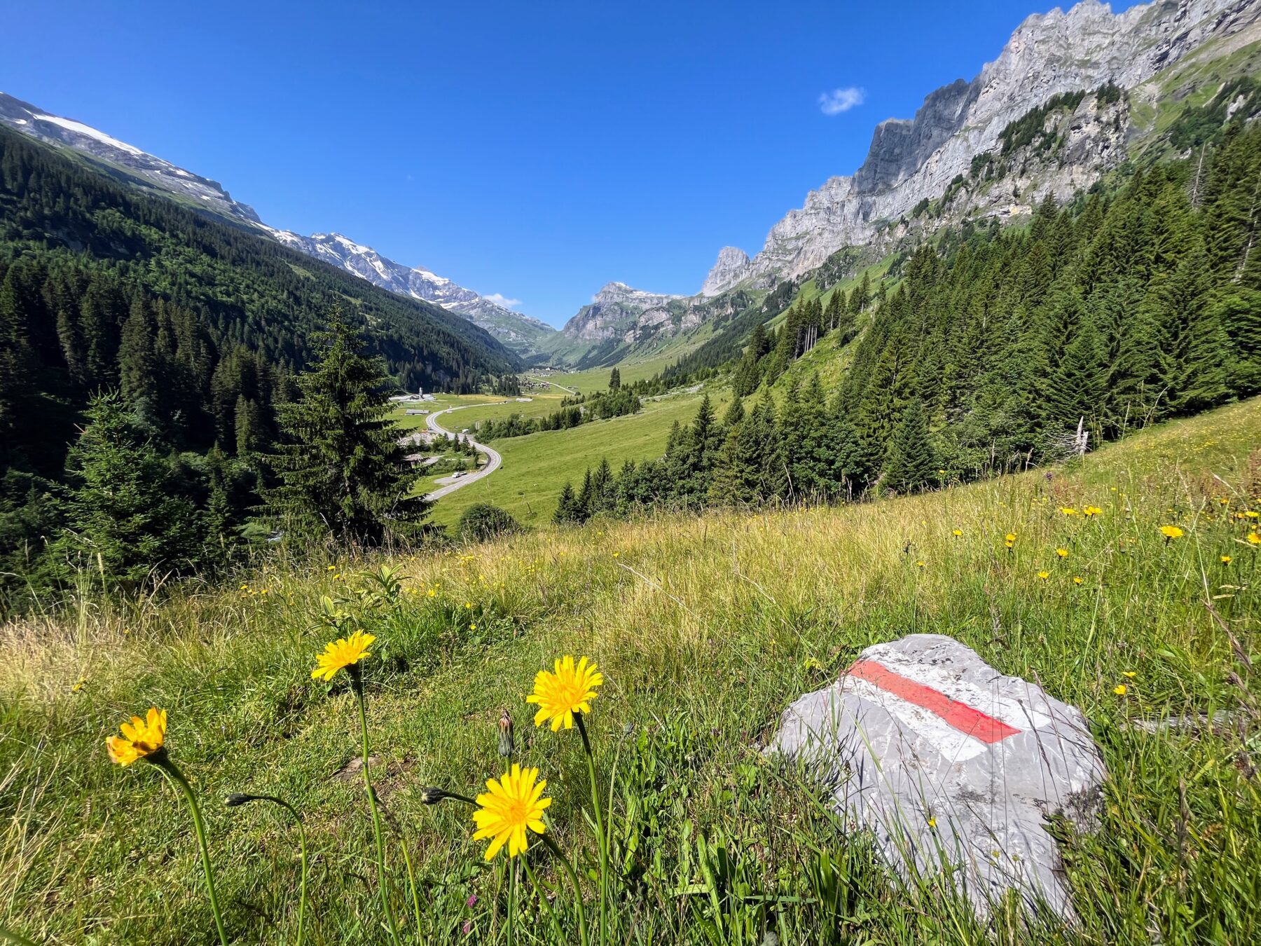 Wanderung_Via_alpina_urnerboden_linthal_