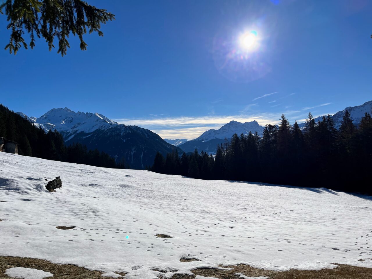 schneeschuhwandern_lantsch__IMG_0292