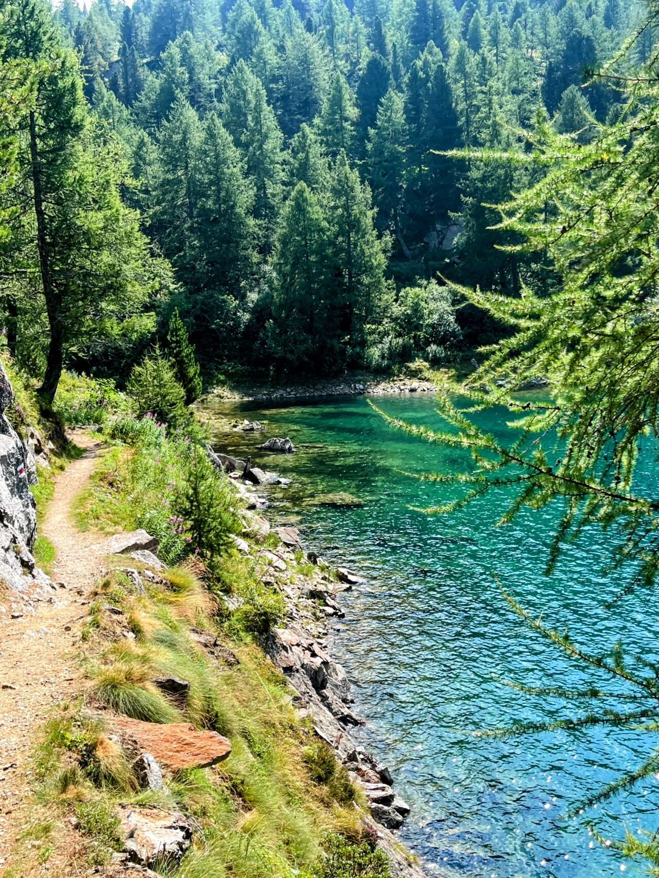wanderung_ritomsee_lago_di_tom_cadagnosee_
