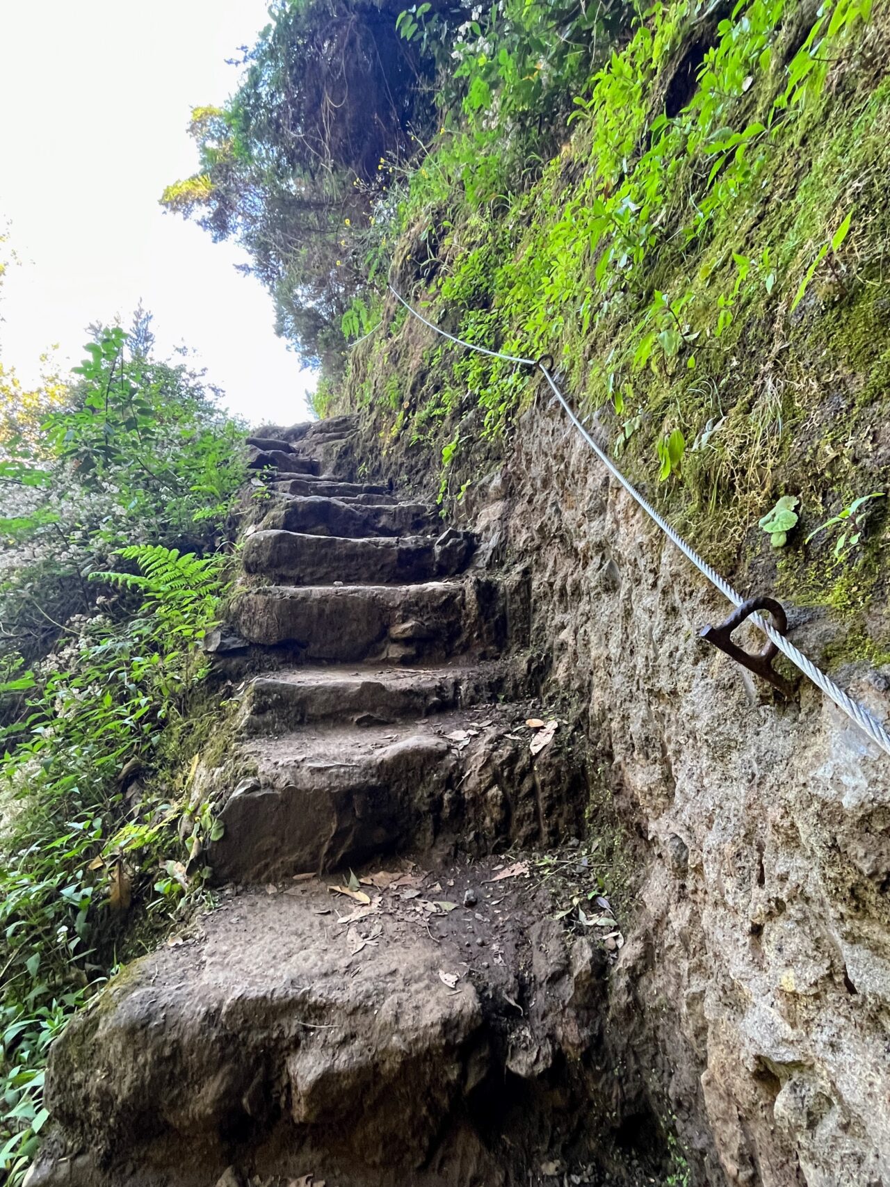 wanderung_madeira_porto_da_cruz_machico_