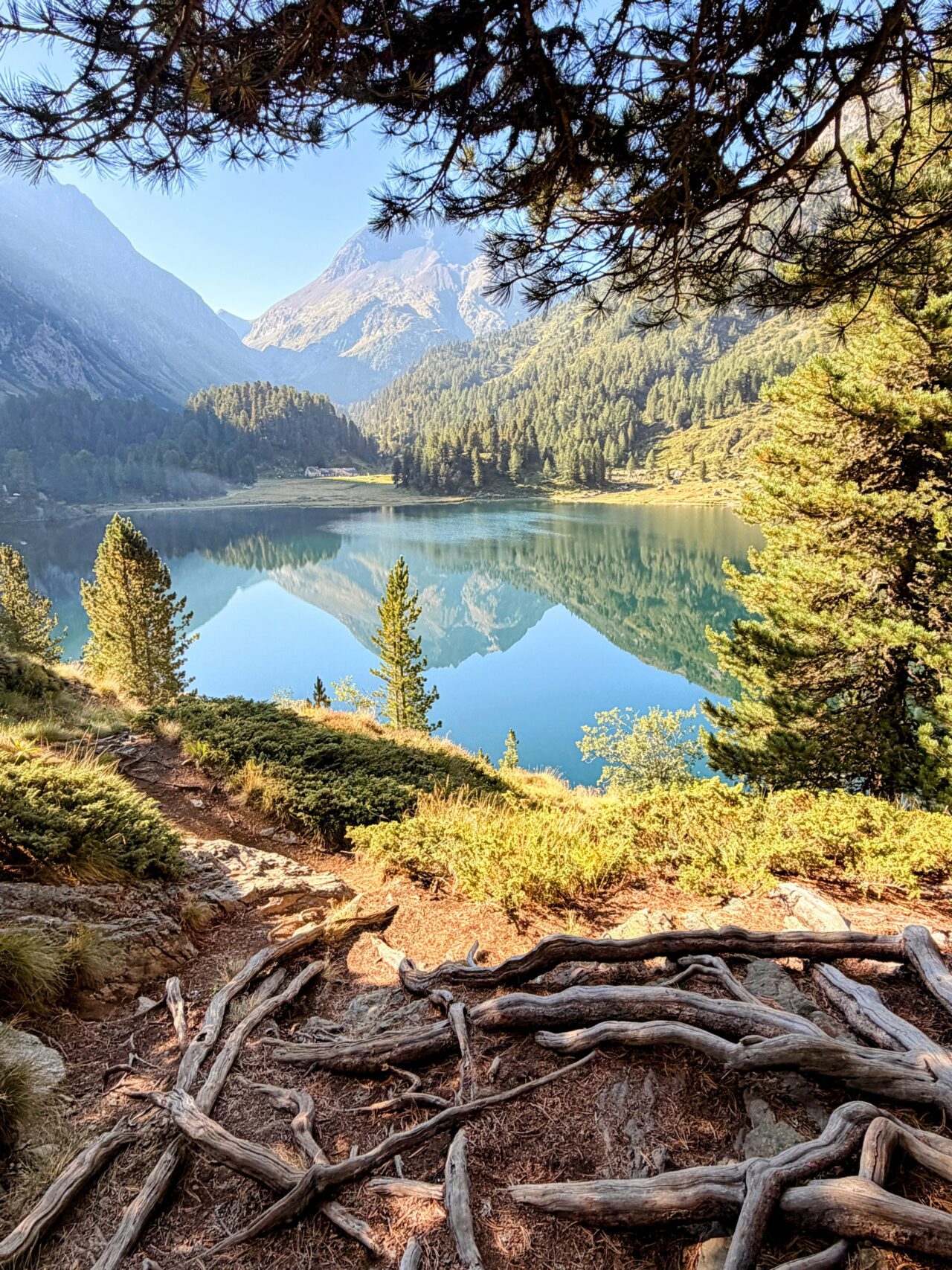 wanderung_sentiero_alpino_bregaglia_maloja_albignahuette__IMG_0107