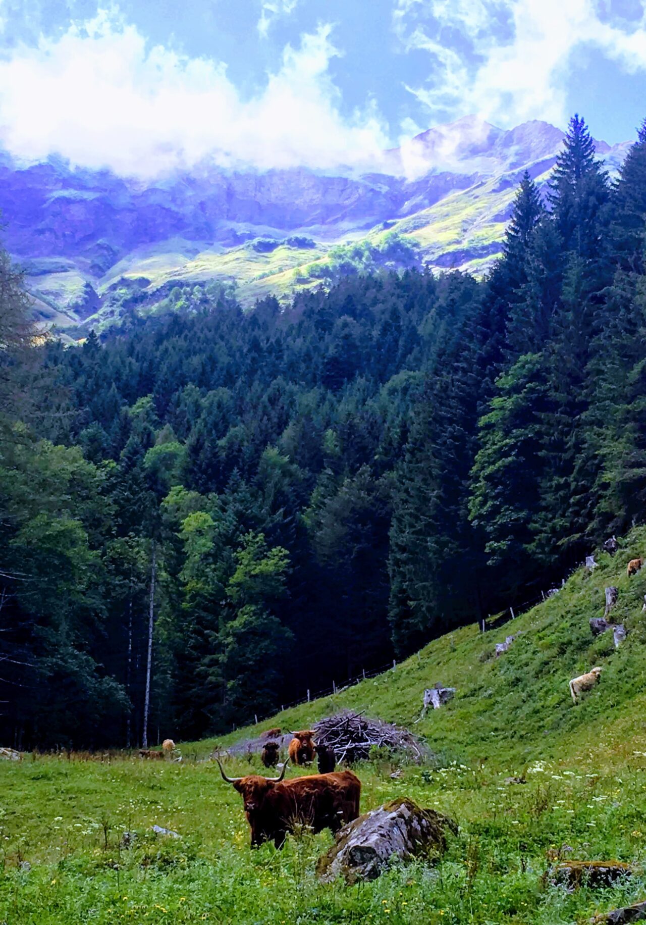 tour_du_dents_du_midi