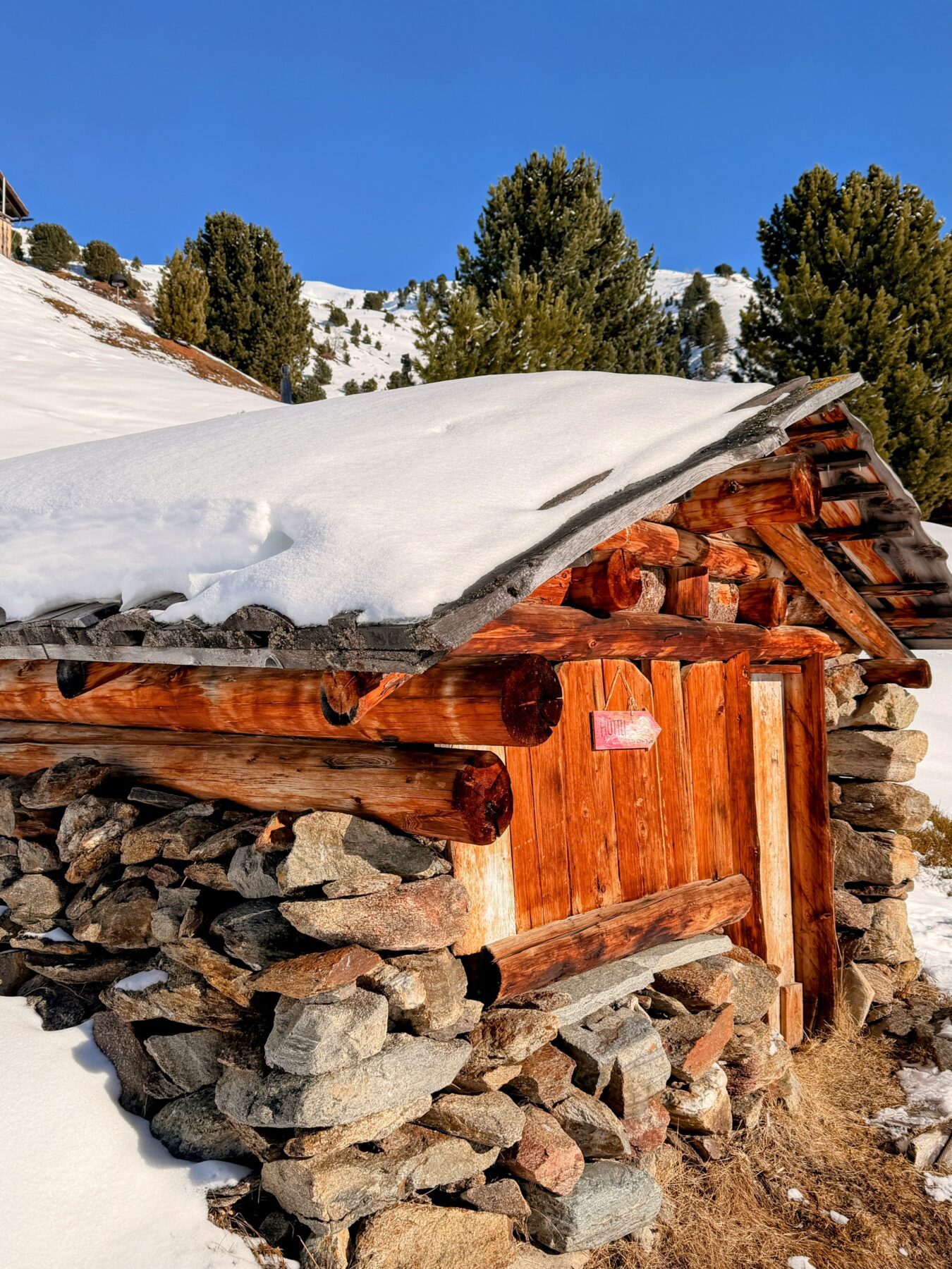 schneeschuhtour_pischa__IMG_9503
