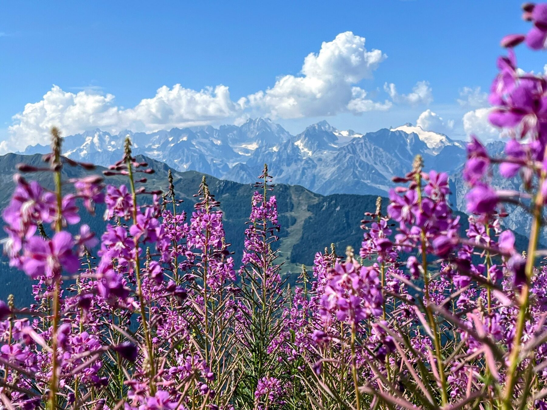 wanderung_alpenpaesseweg_etappe_cabane_de_louvie_verbier_