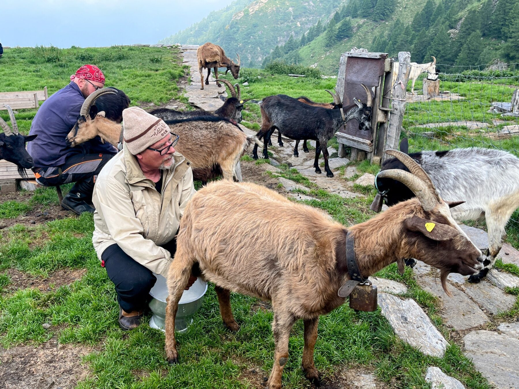 Wanderung_Alta_Via_Vallemaggia_Cimetta_Nimi_Brione_