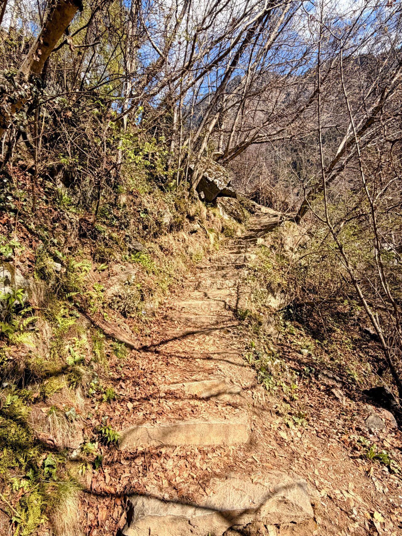 wanderung_vellauer_felsenweg_