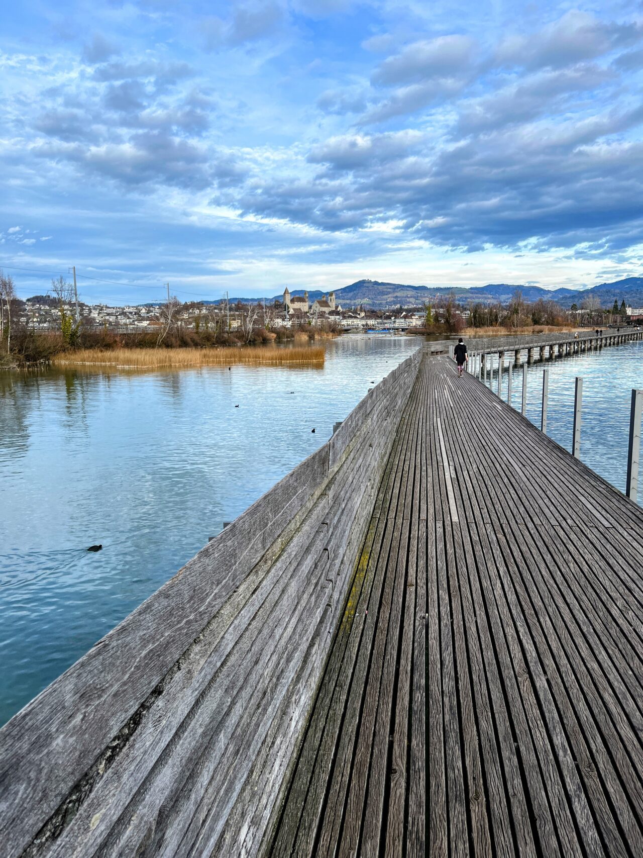 wanderung_pfaeffikon_rapperswil_