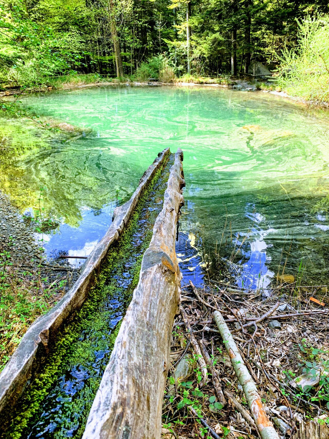 wanderung_enderlinhuette_