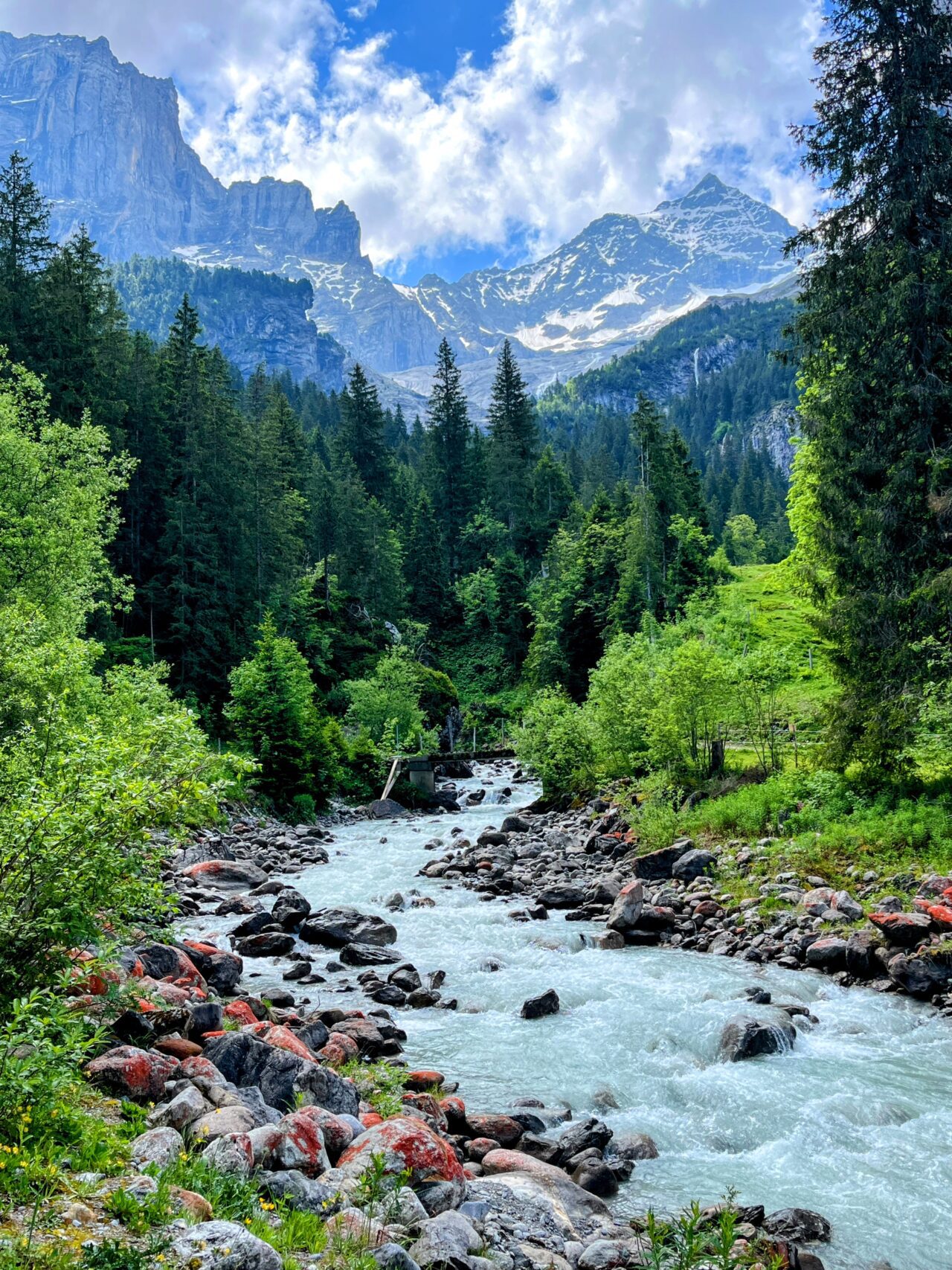 wanderung_via_alpina_meiringen_grindelwald_