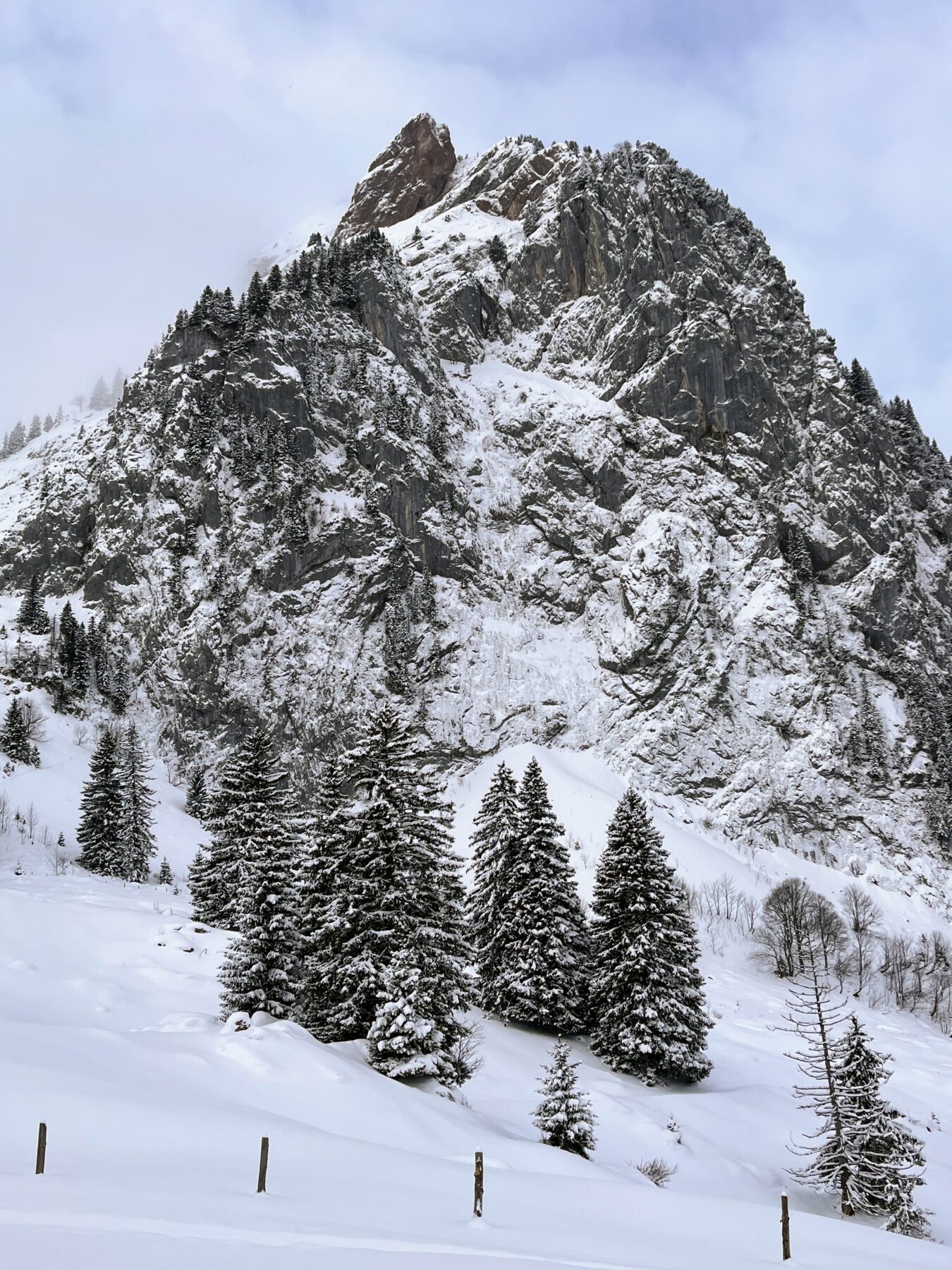 schneeschuhwanderung-furggelenstock-_IMG_9297