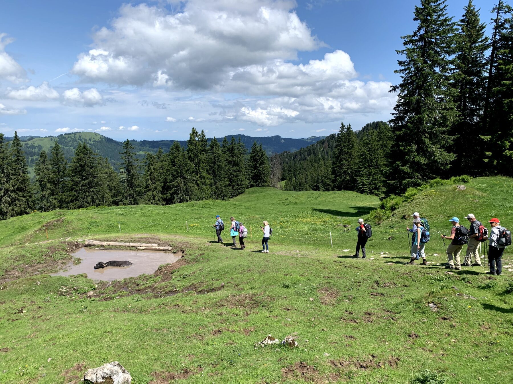 wanderung_7_egg_hoch_ybrig_