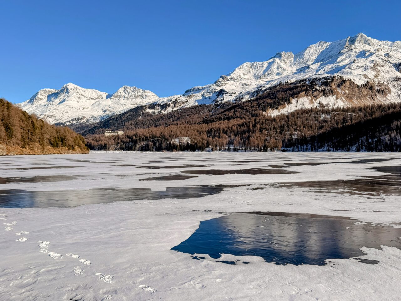 wanderung_silsersee_schwarzeis__IMG_9105