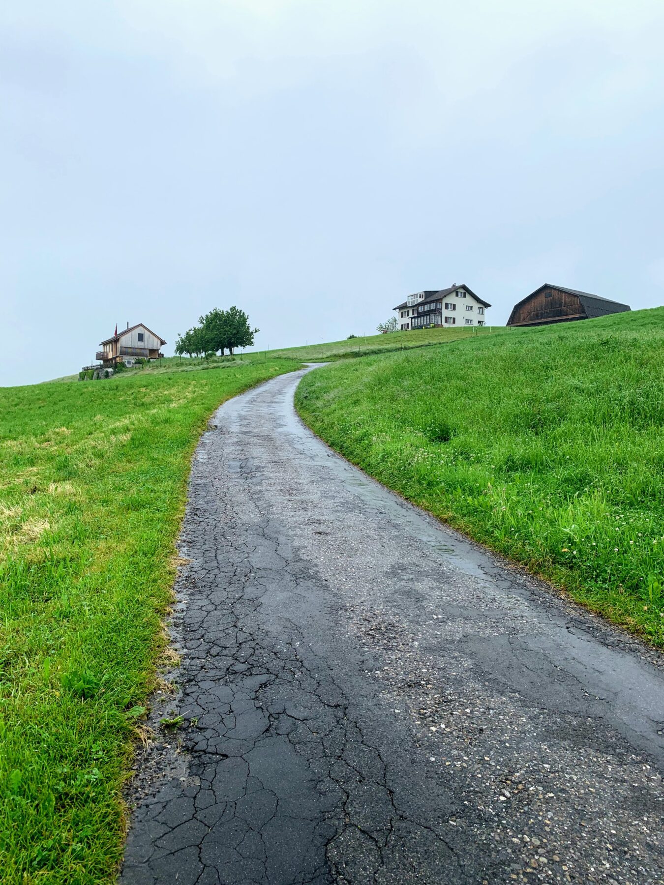 wanderung_waldstaetterweg_kuesnacht_am_rigi_luzern_