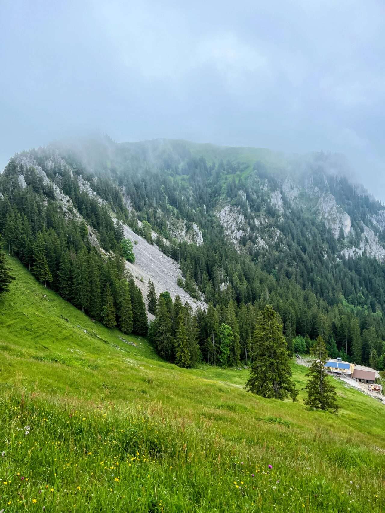 wanderung_buochserhorn_