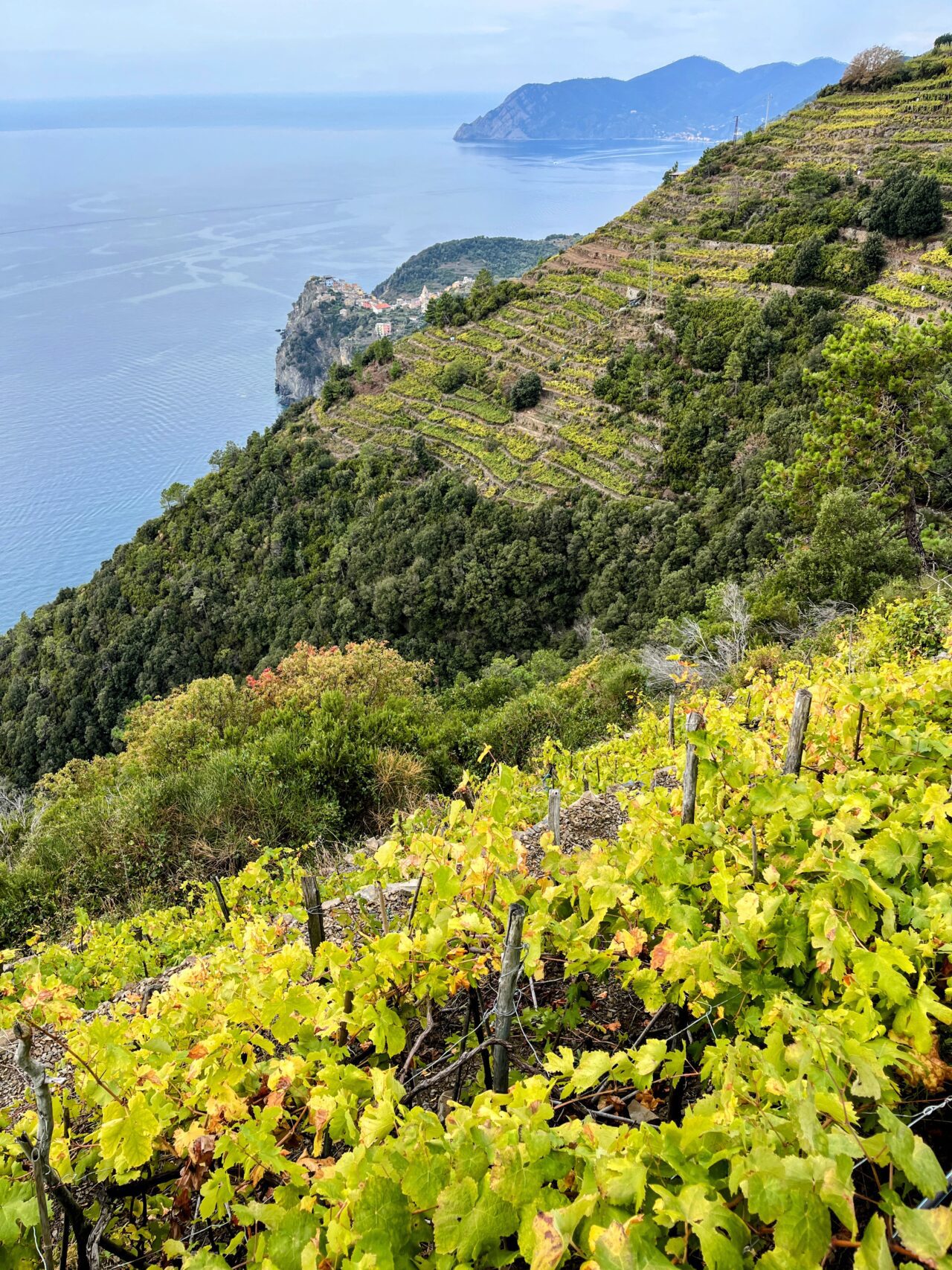 wandern_cinque_terre_