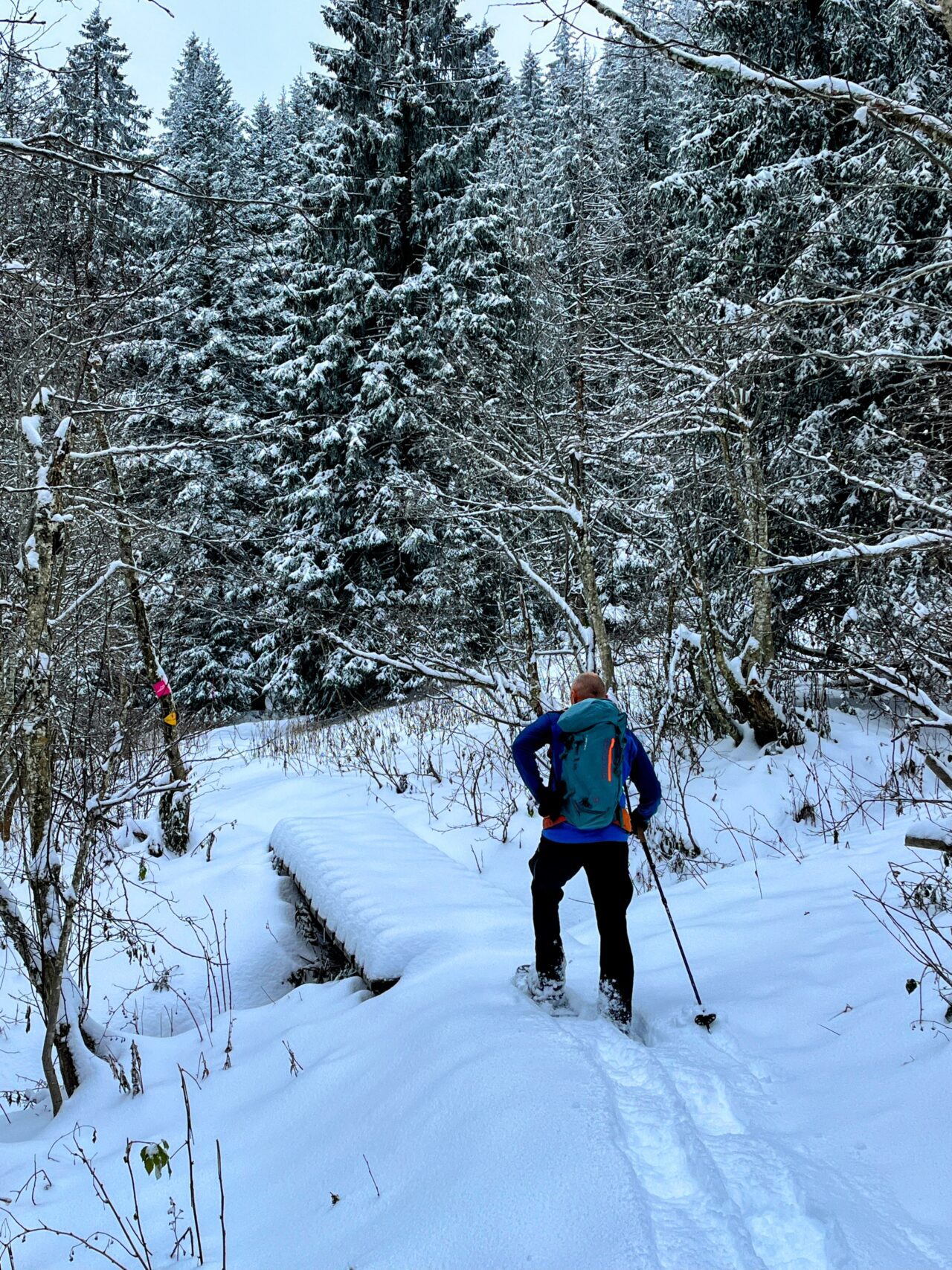 schneeschuhtour_biberegg_hochstuckli_haengebruecke__IMG_2122