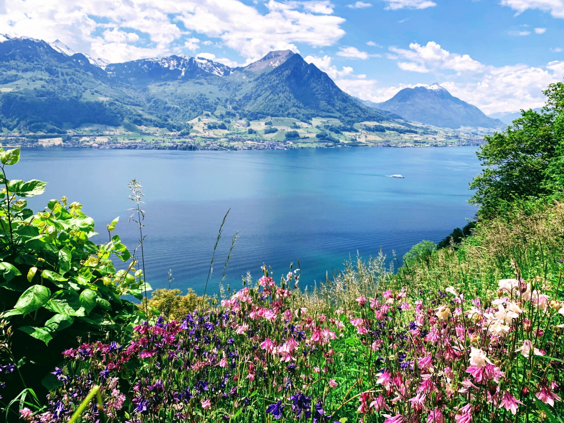 wanderung_waldstaetterweg_brunnen_vitznau_