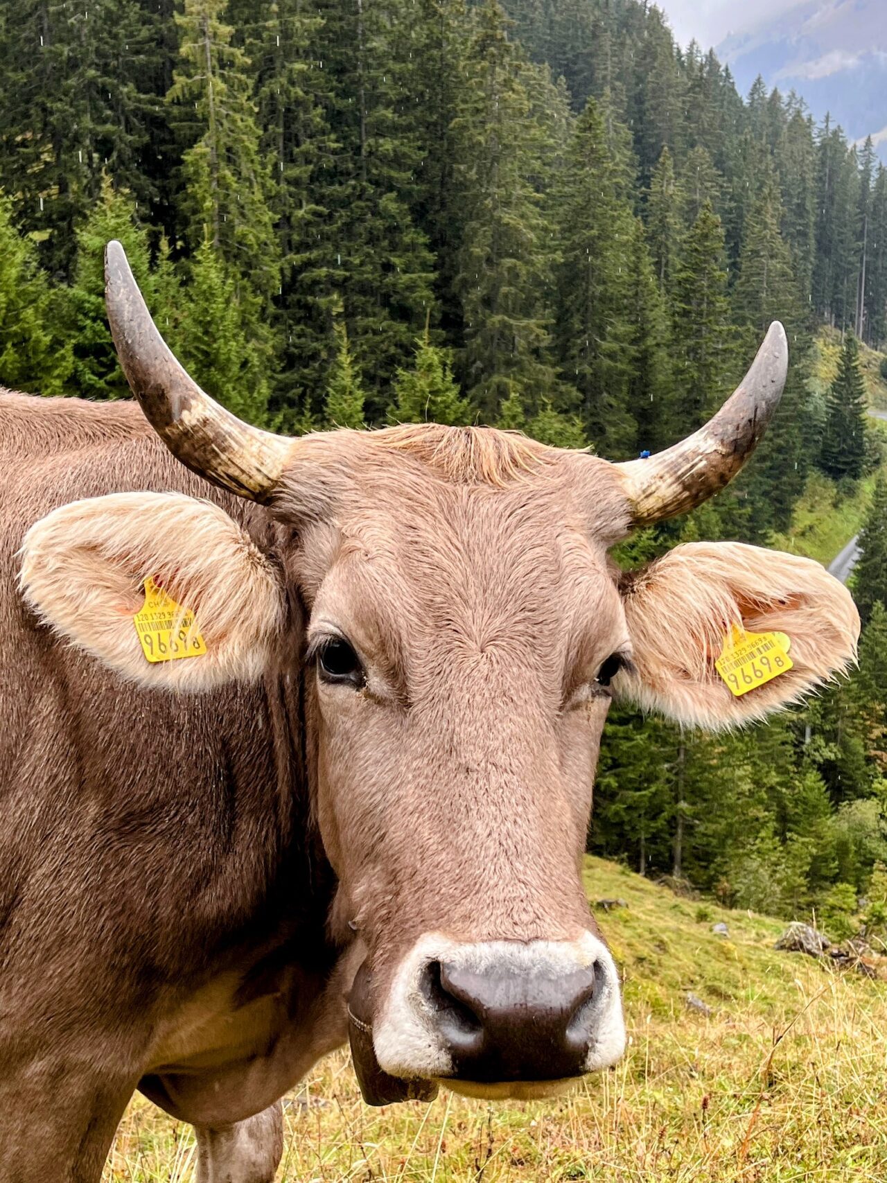 wanderung_praettigauer_hoehenweg_