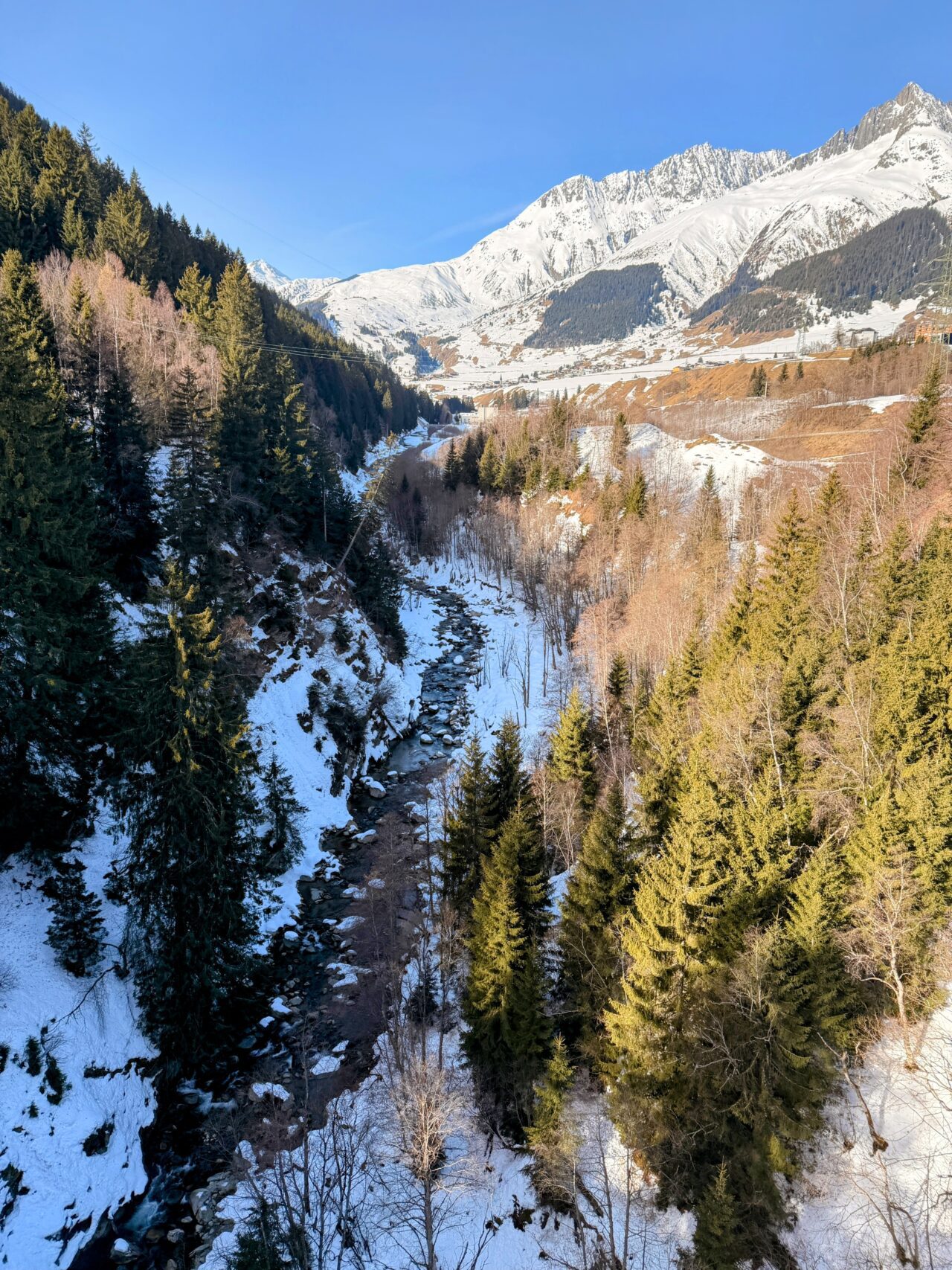 schneeschuhsafari-graubuenden-sedrun-disentis-_IMG_0264