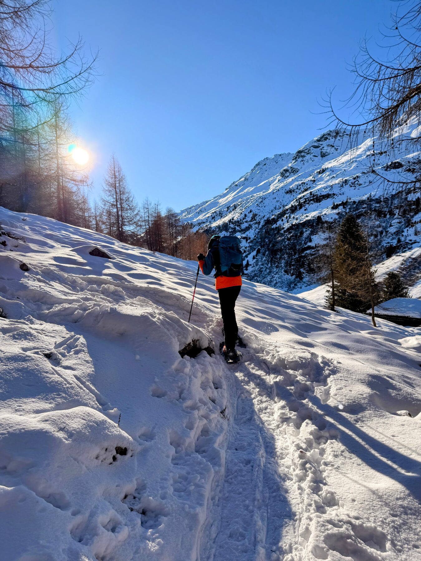 schneeschuhtour_pischa__IMG_9457