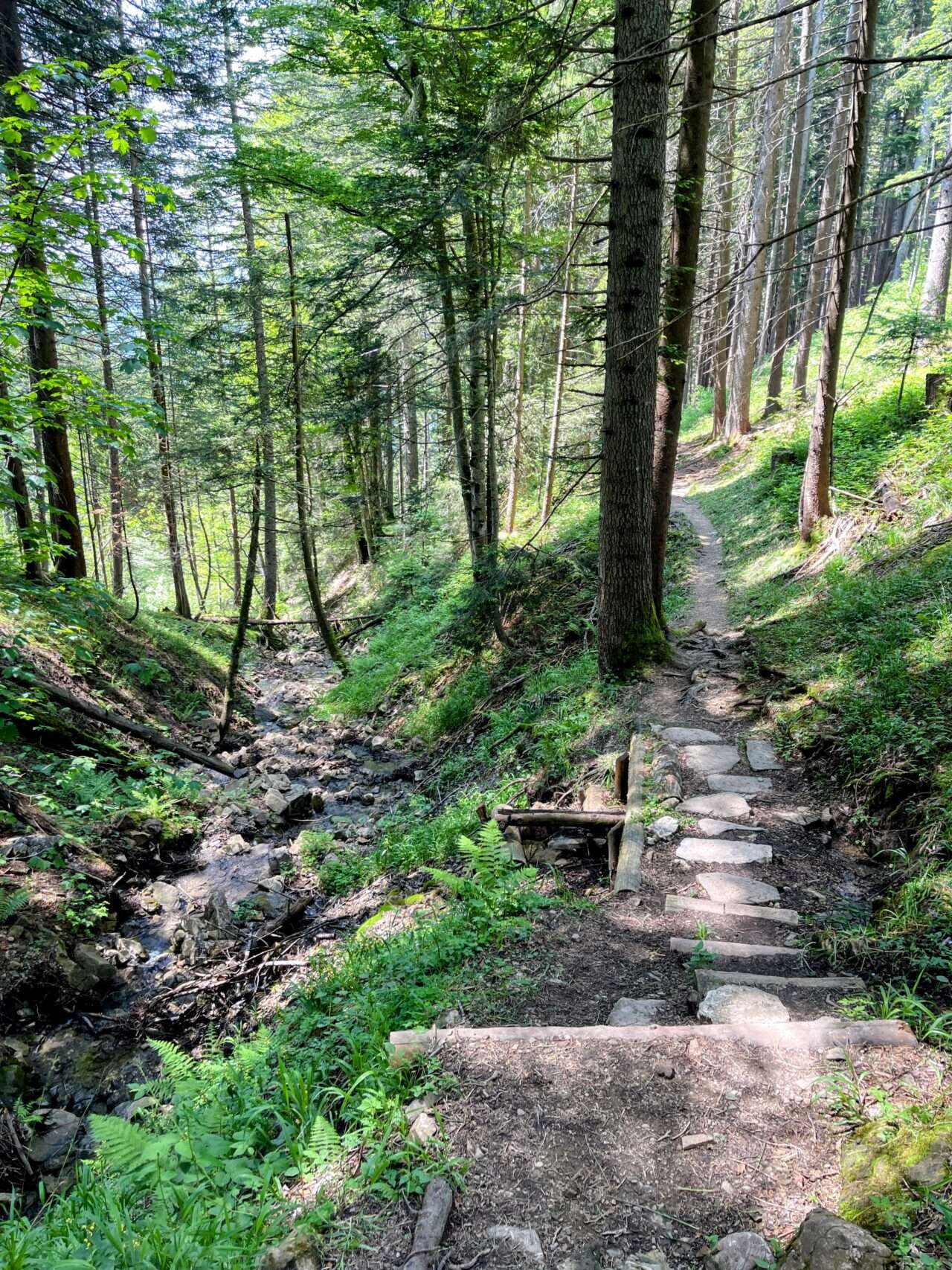 wanderung_brunni_hagenegg_mostelberg_sattel_