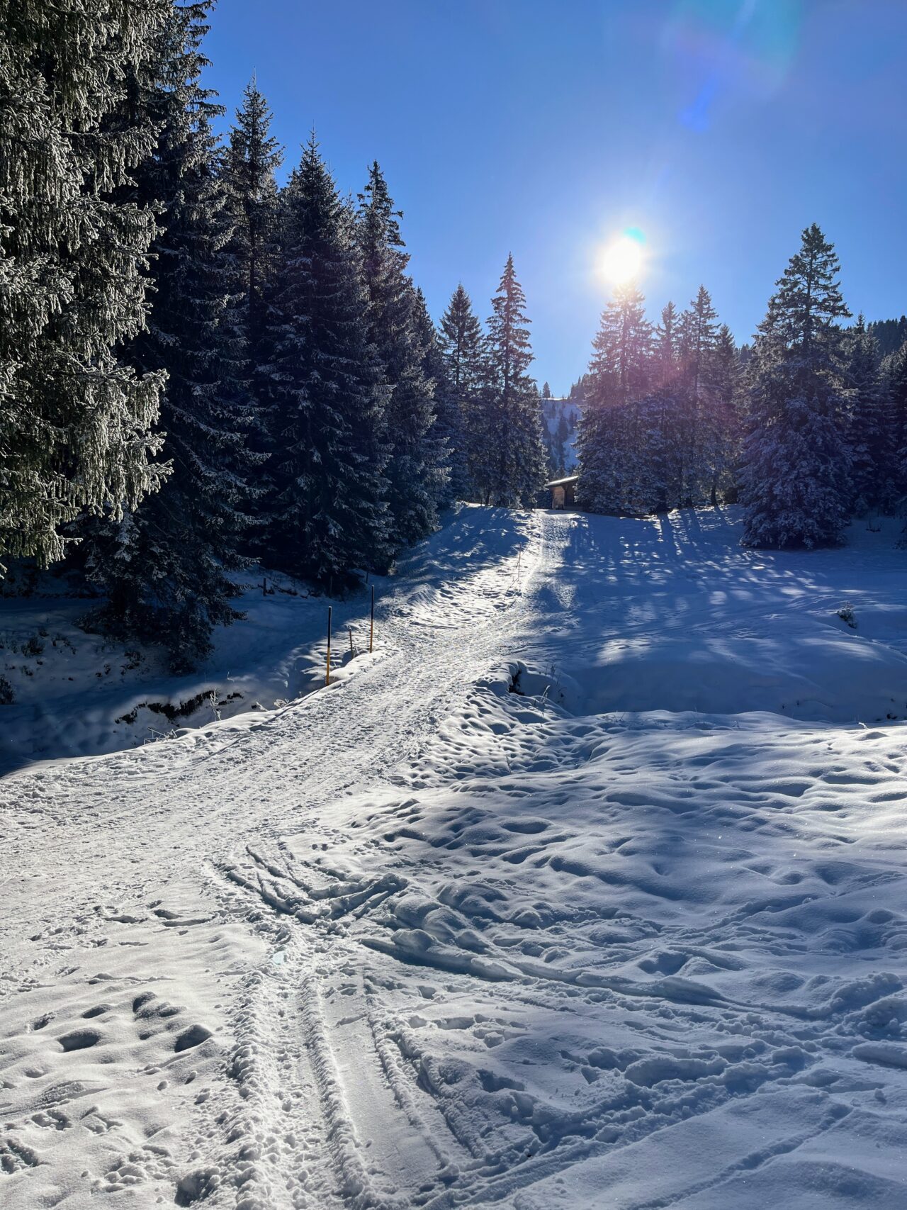 schneeschuhwandern-flumserberg-_IMG_7881