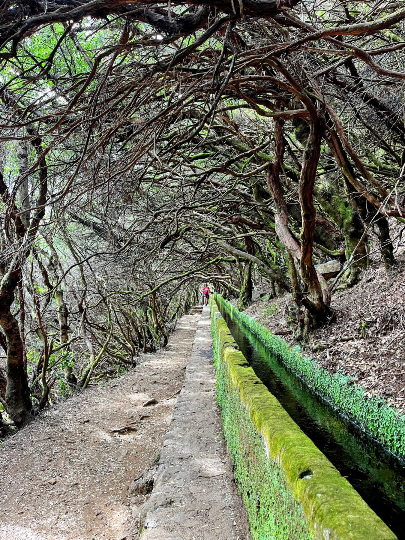 wanderung_wanderung_25_fontes_risco_