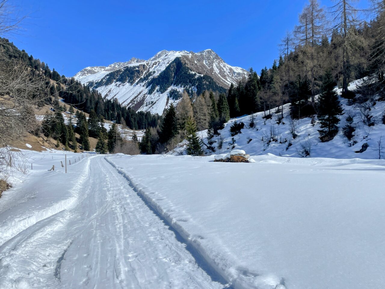 schneeschuhwanderung_berguen_keschhuette_