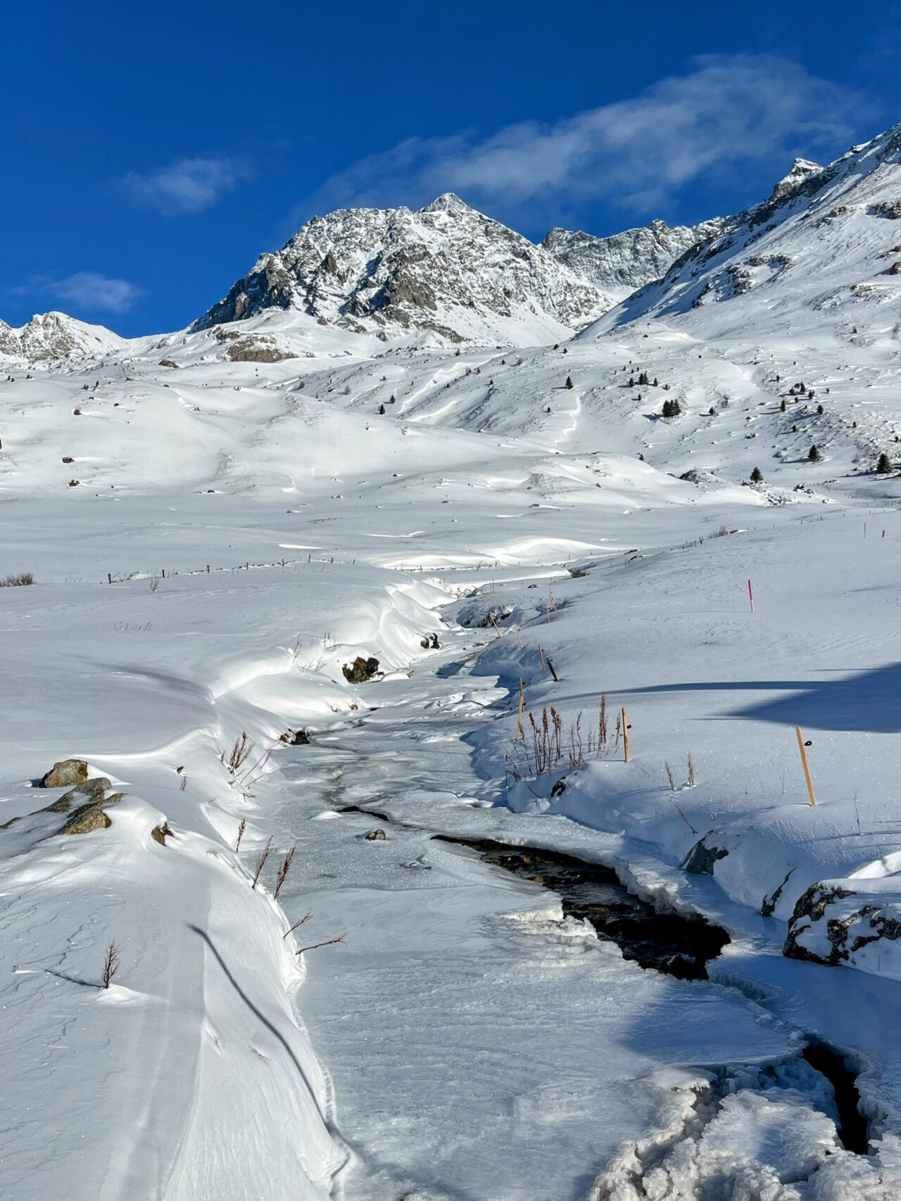 schneeschuhtour_alp_flix_573_schweizmobil__IMG_6286