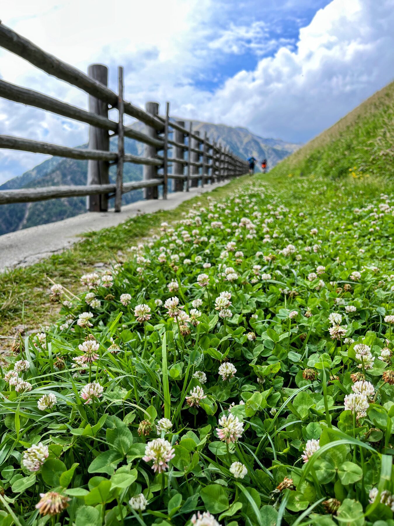 wanderung_Meraner_hoehenweg_hochmuth_nasereithuette_montferthof_