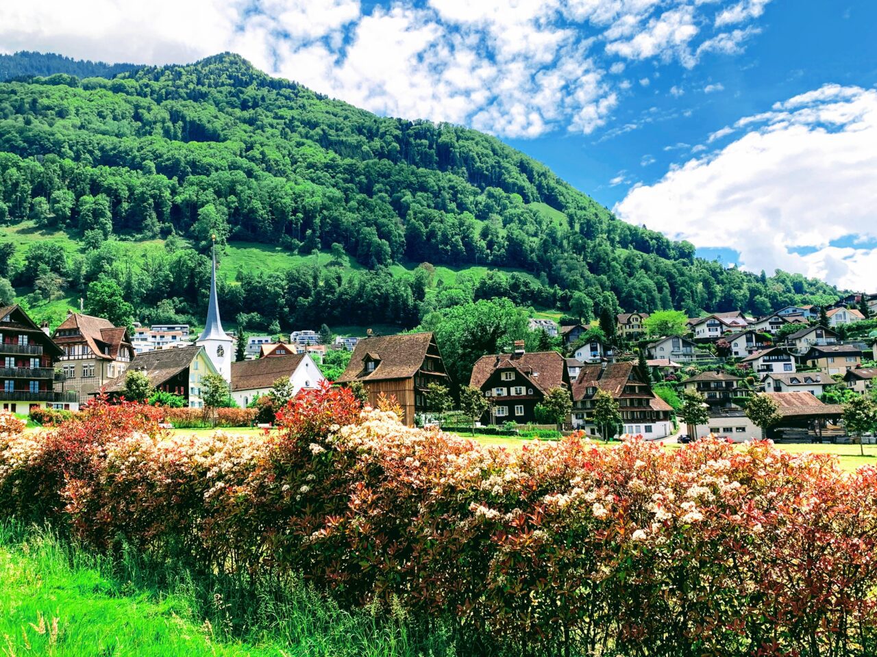 wanderung_waldstaetterweg_vitznau_kuesnacht_am_rigi_