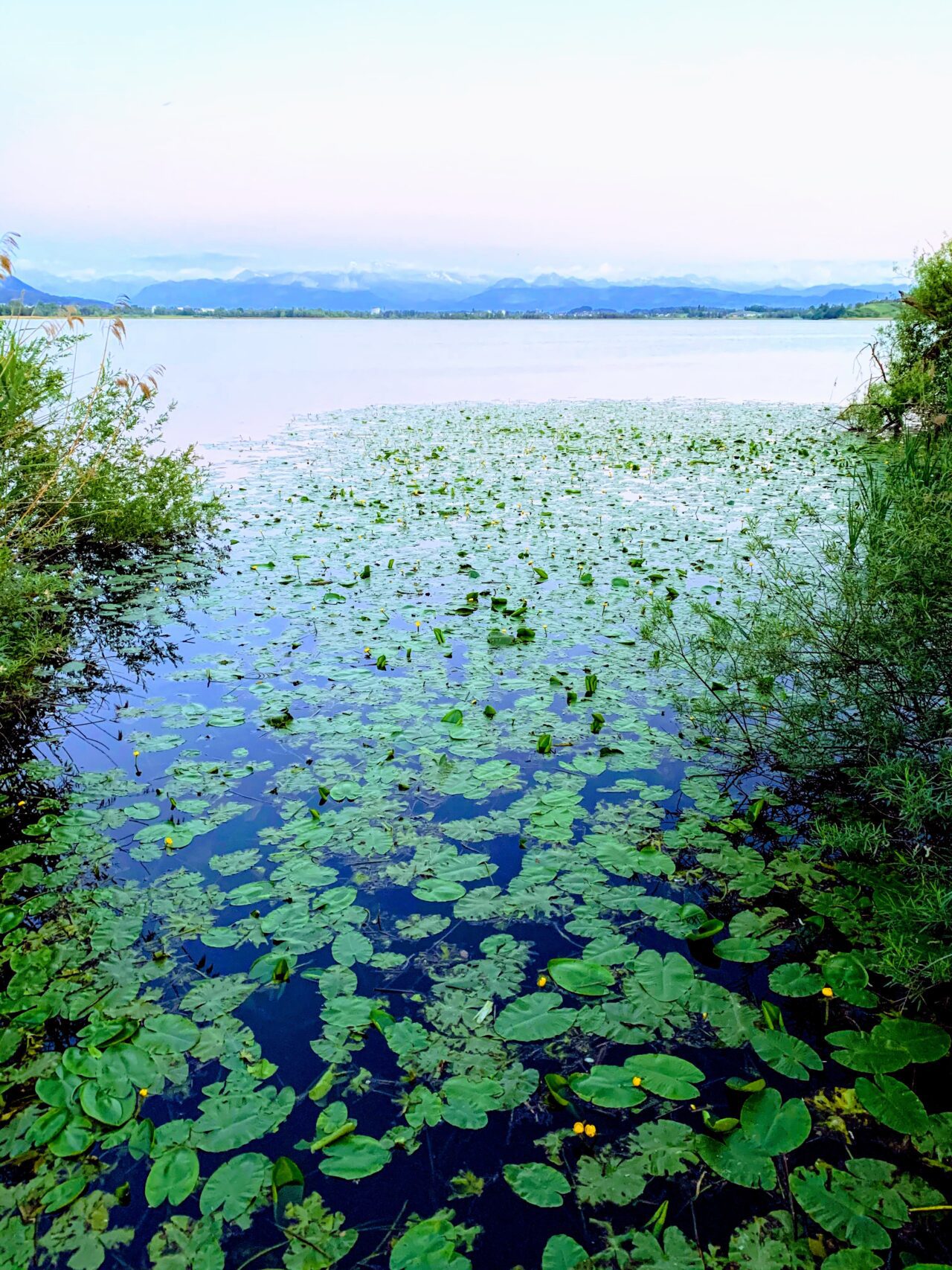 umrundung_pfaeffikersee_