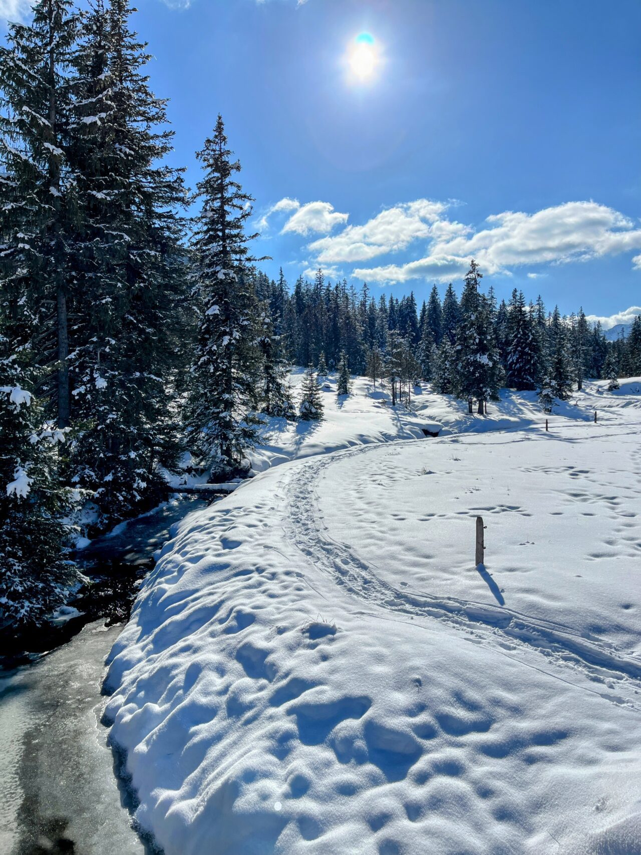schneeschuhwandern-jaenzi-_IMG_9593 (Kopie)