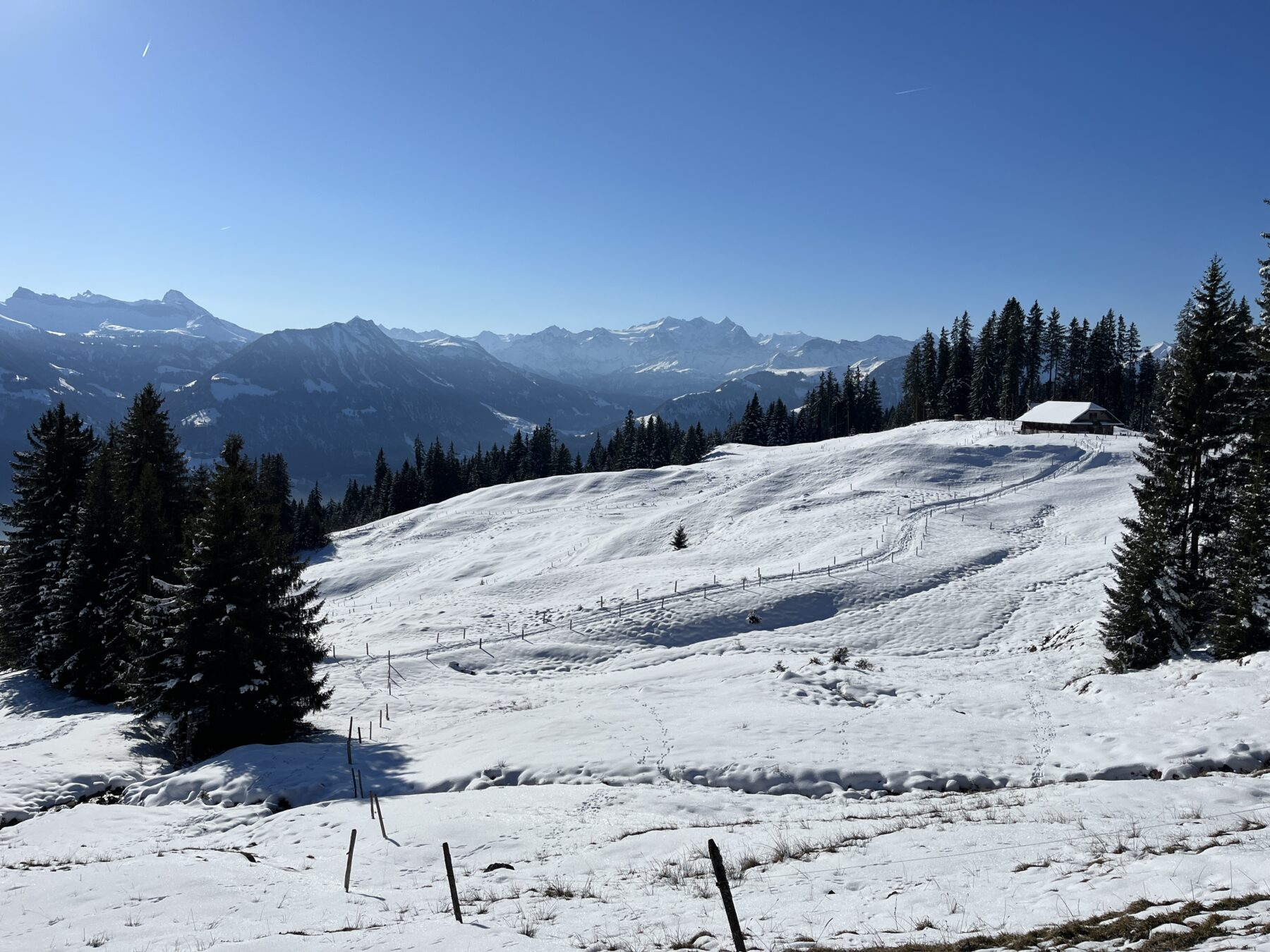 schneeschuhwandern-jaenzi-_IMG_9549