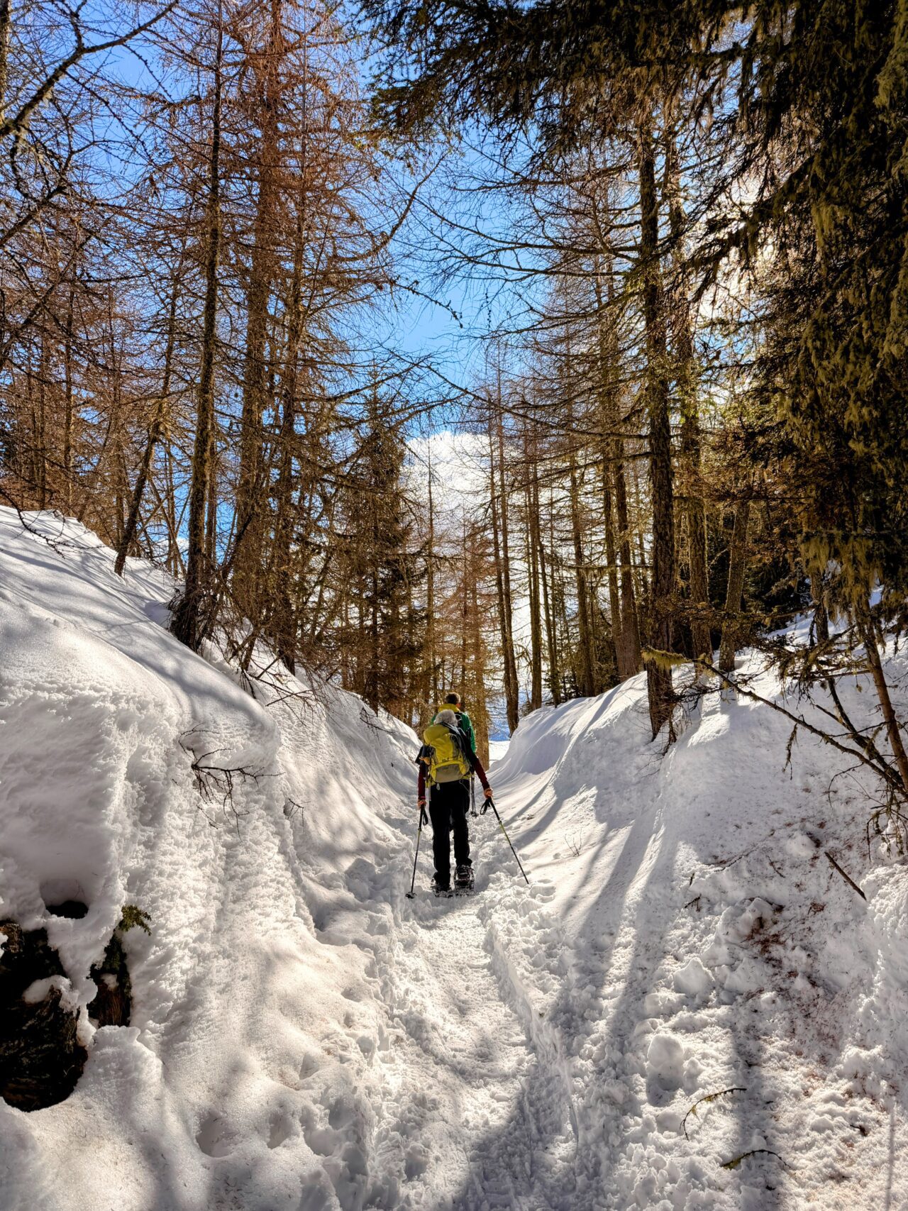 schneeschuhwanderung_buerchen_stand__IMG_9874