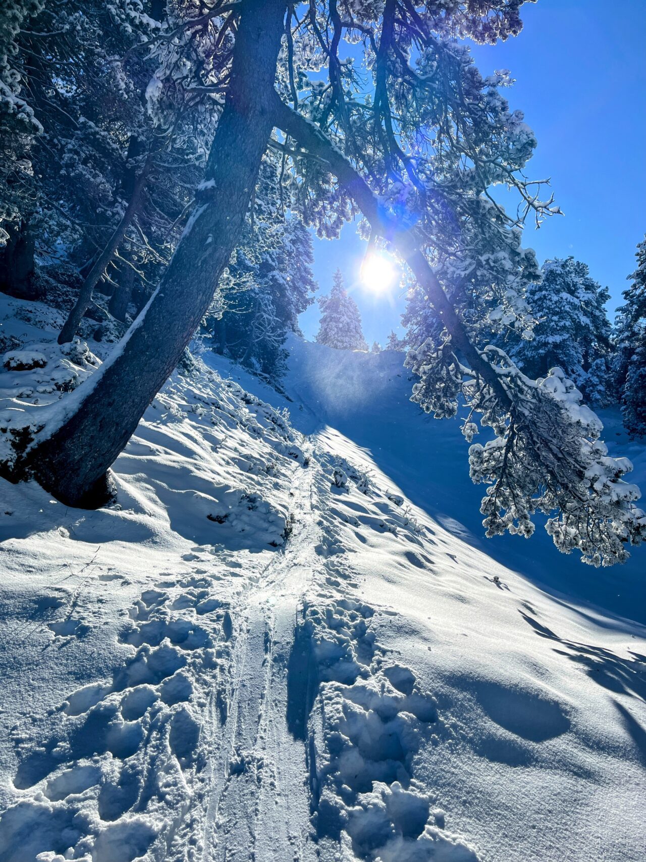 schneeschuhtour_laucherenstoeckli_ibergeregg_brunni__IMG_5757