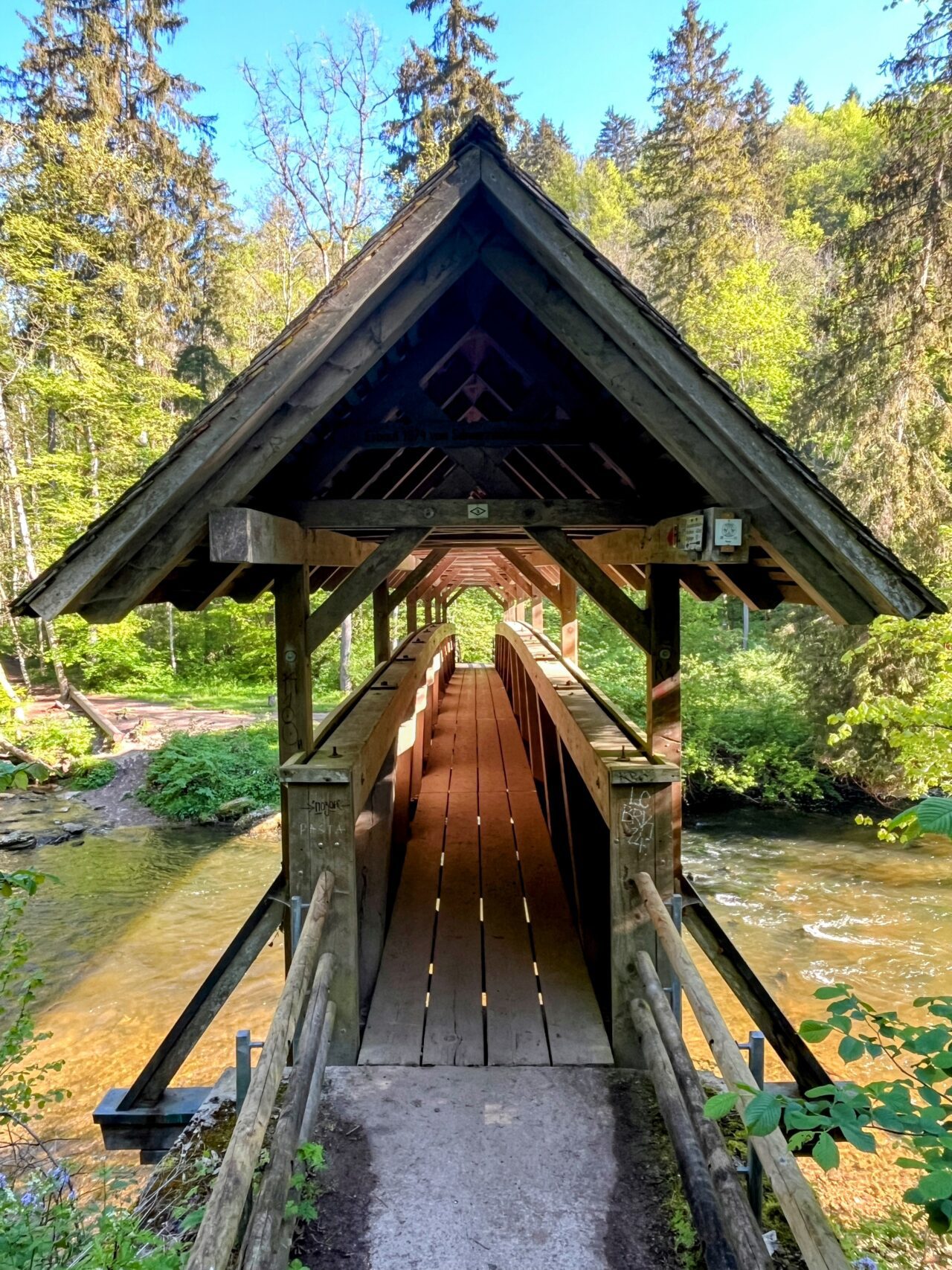 wanderung_schluchtensteig_schwarzwald_