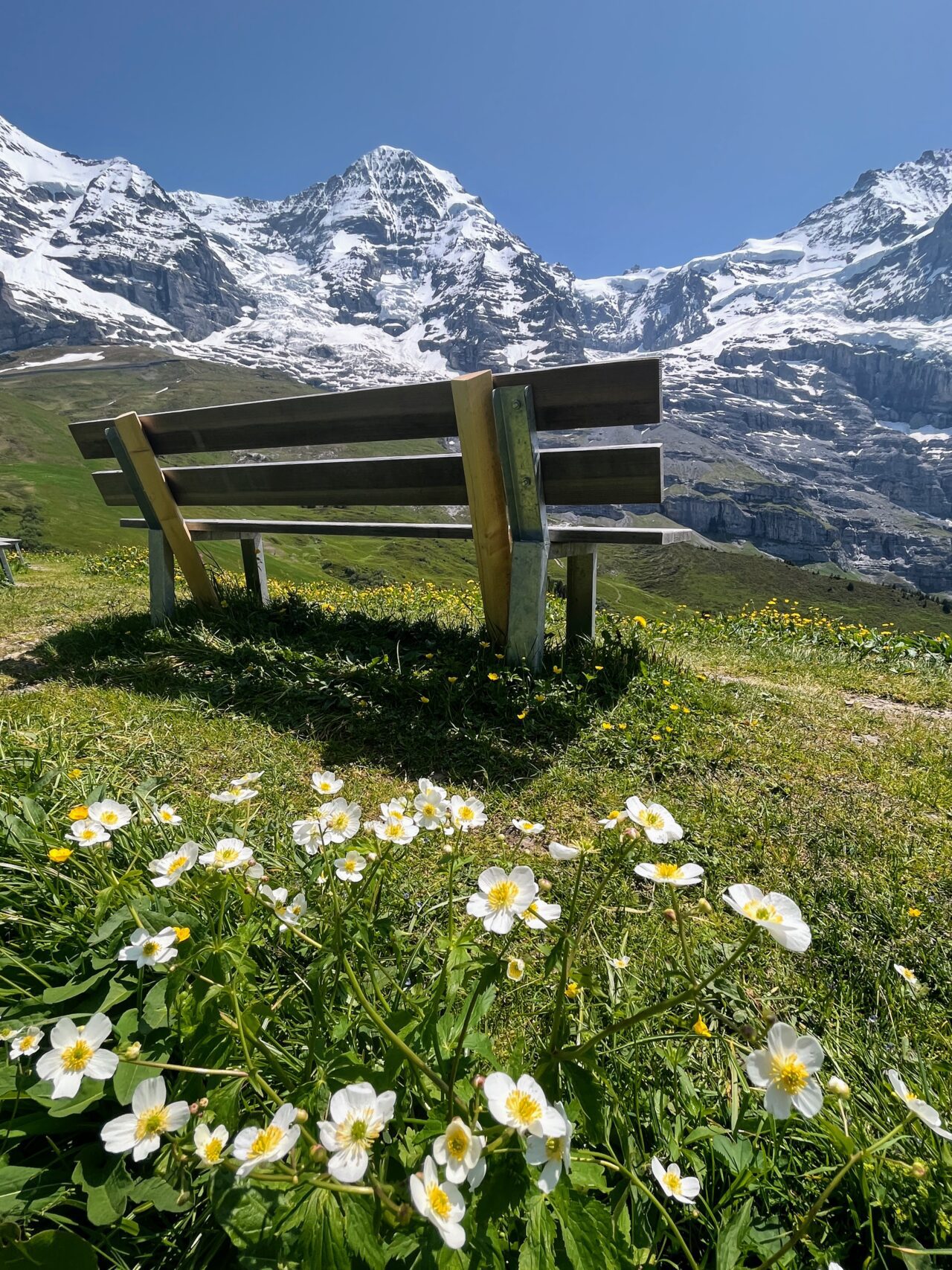 wanderung_via_alpina_grindelwald_lauterbrunnen_