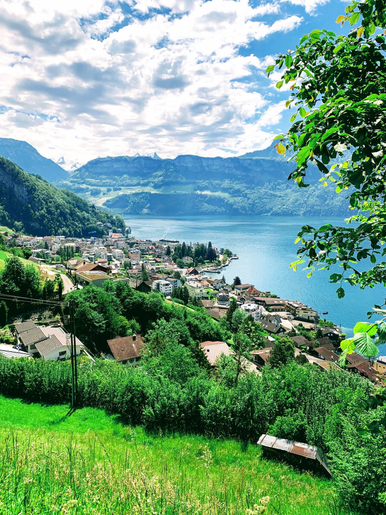 wanderung_waldstaetterweg_brunnen_vitznau_