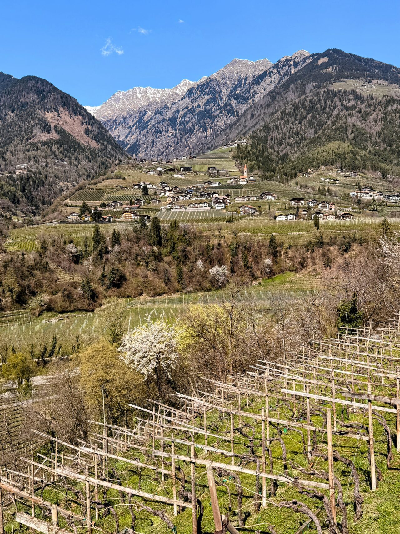 wanderung_maiser_waalweg_tappeinerweg_dorf_tirol_