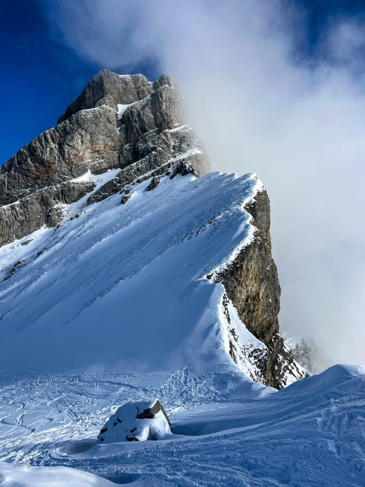 schneeschuhwandern_alp_sellamatt_fruemseltal__IMG_6716