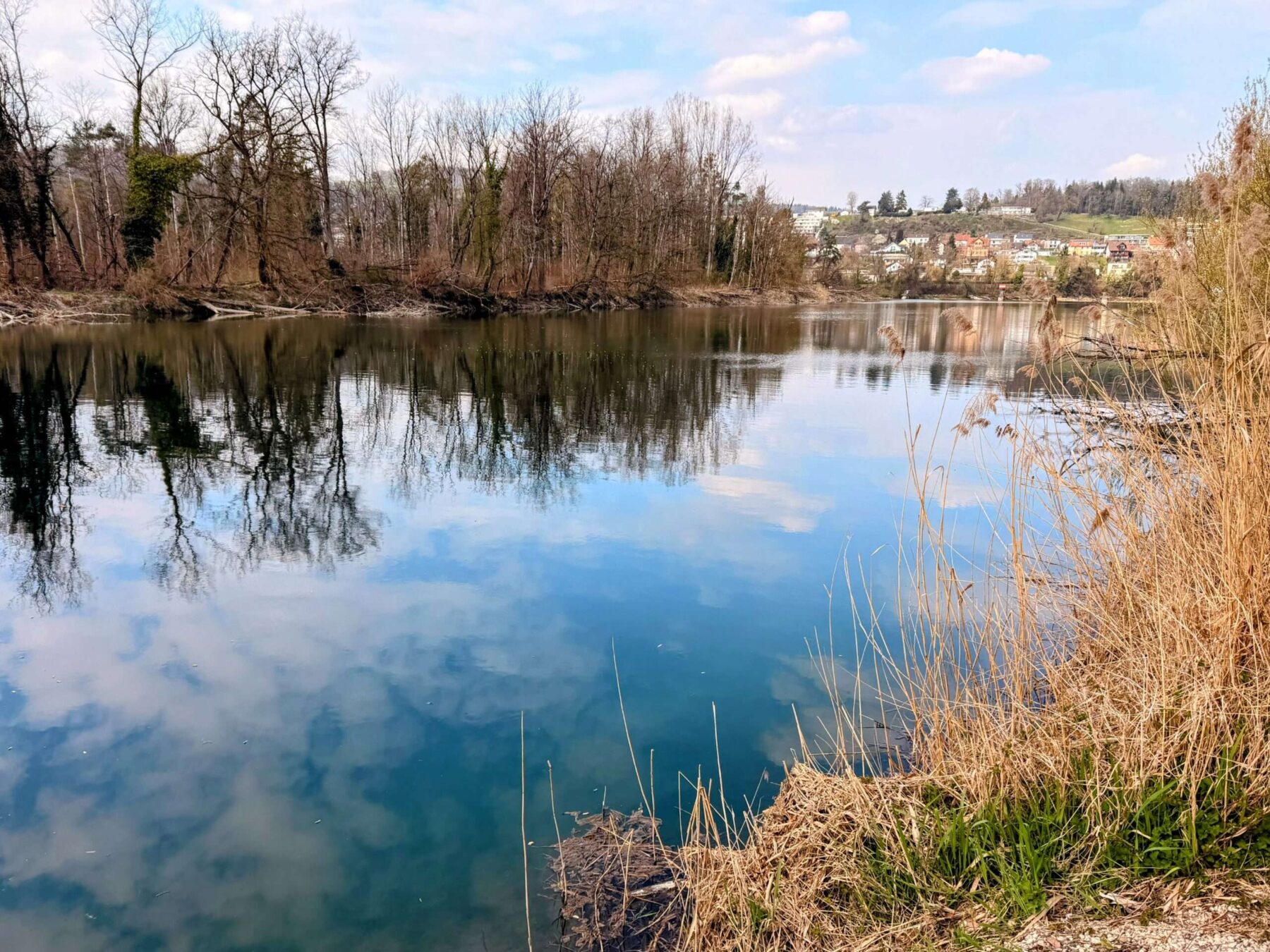 wanderung_reuss_und_aare_wanderung_mellingen_brugg_wildegg_