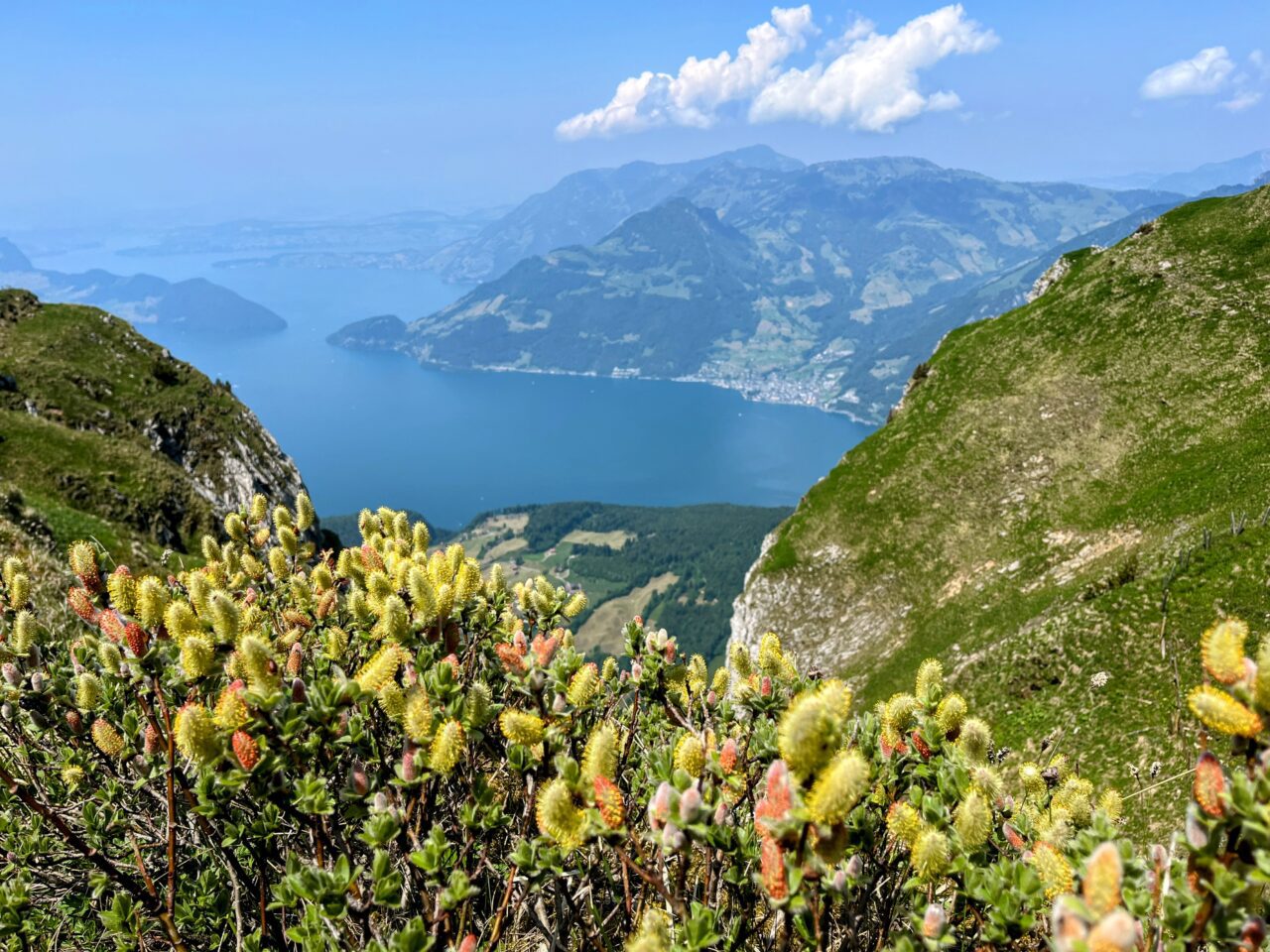 wanderung_niederbauen_chulm_