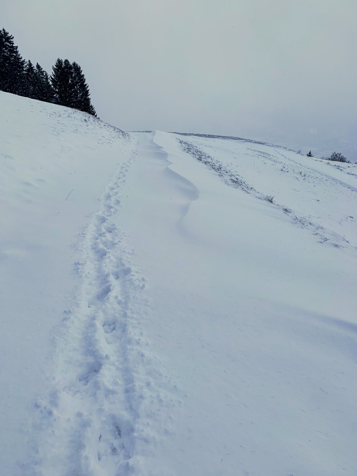 via_alpina_etappe_1_gaflei_sargans_