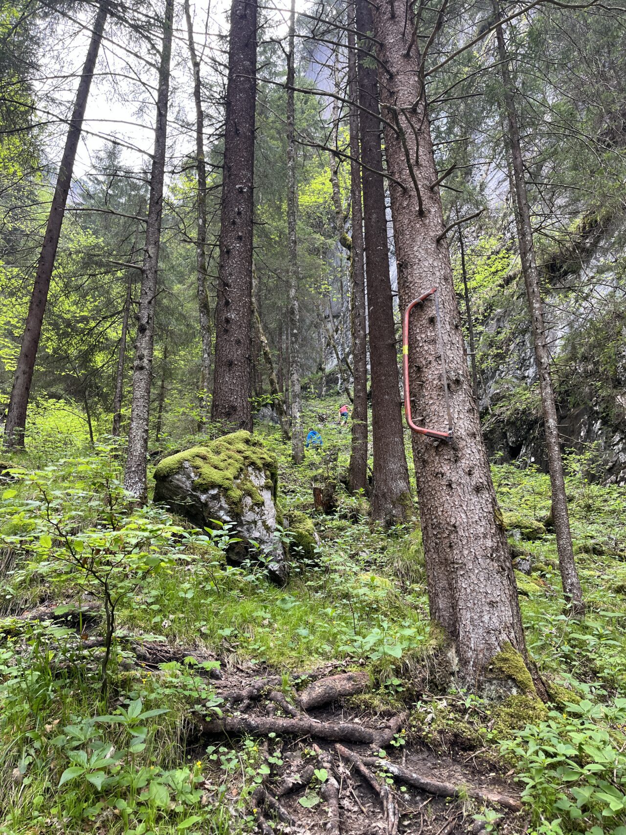 klettersteig_kellenegg_