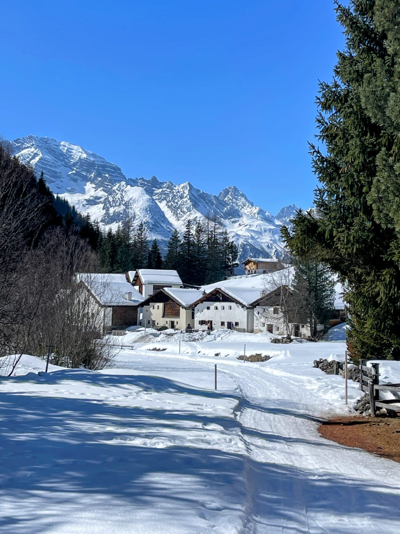 schneeschuhwanderung_berguen_keschhuette_