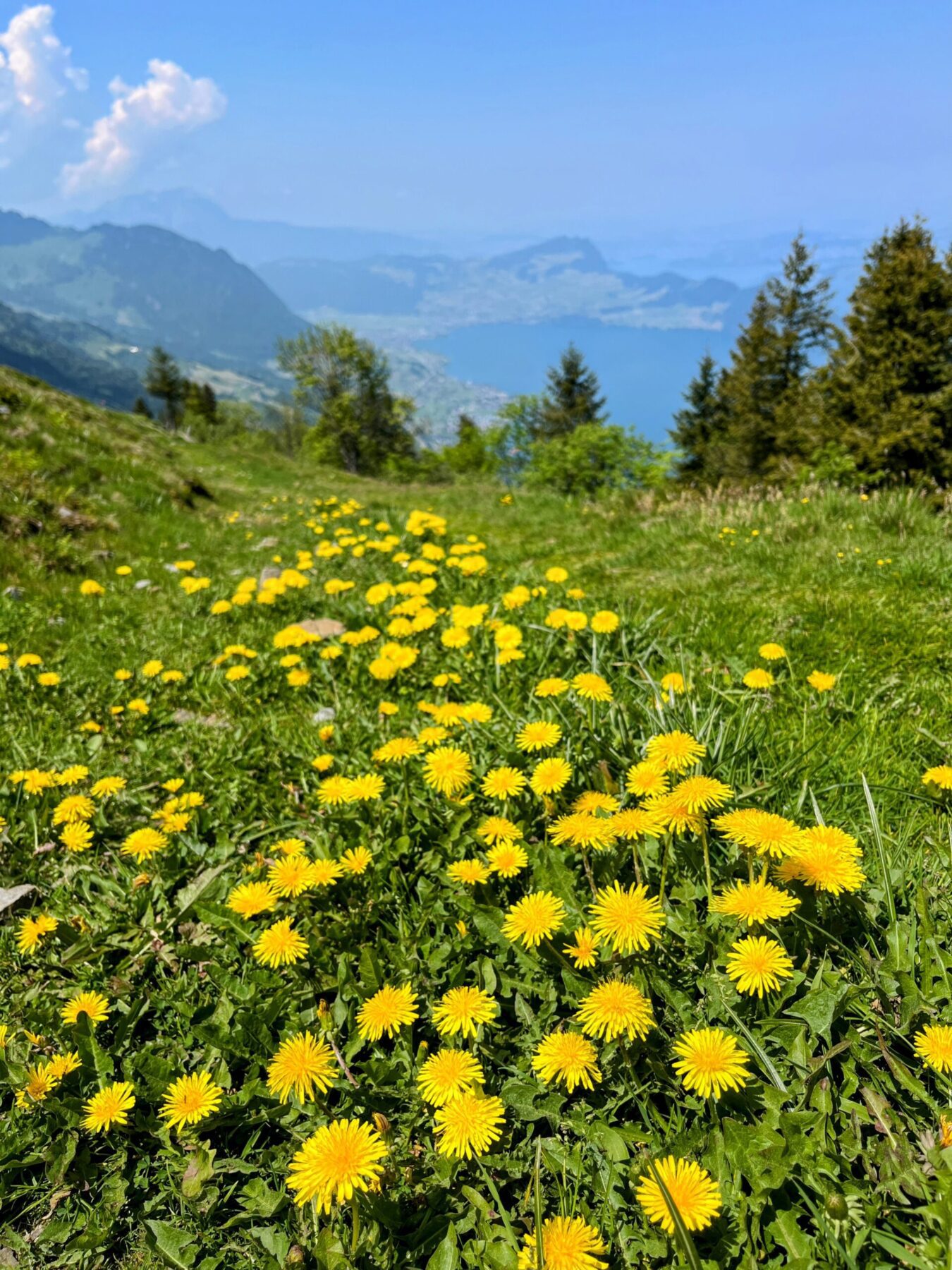 wanderung_niederbauen_chulm_